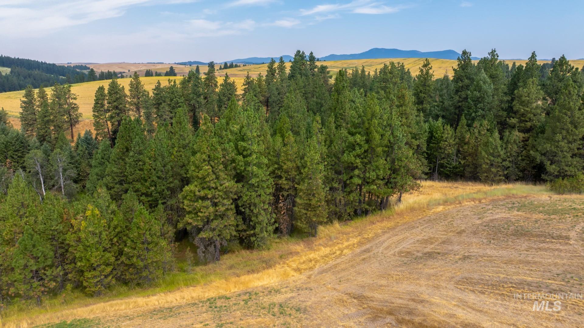 Tbd Parkins Road Property Photo 16