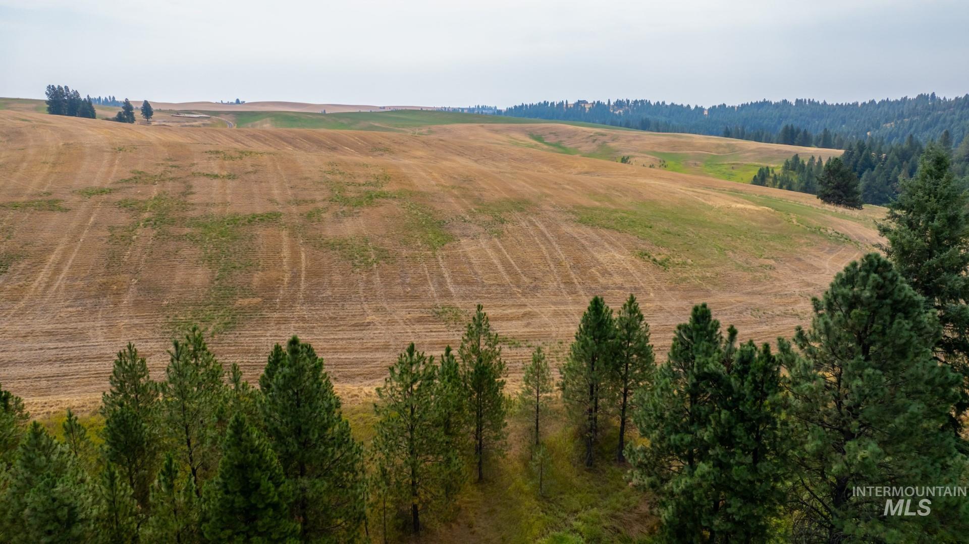 Tbd Parkins Road Property Photo 19