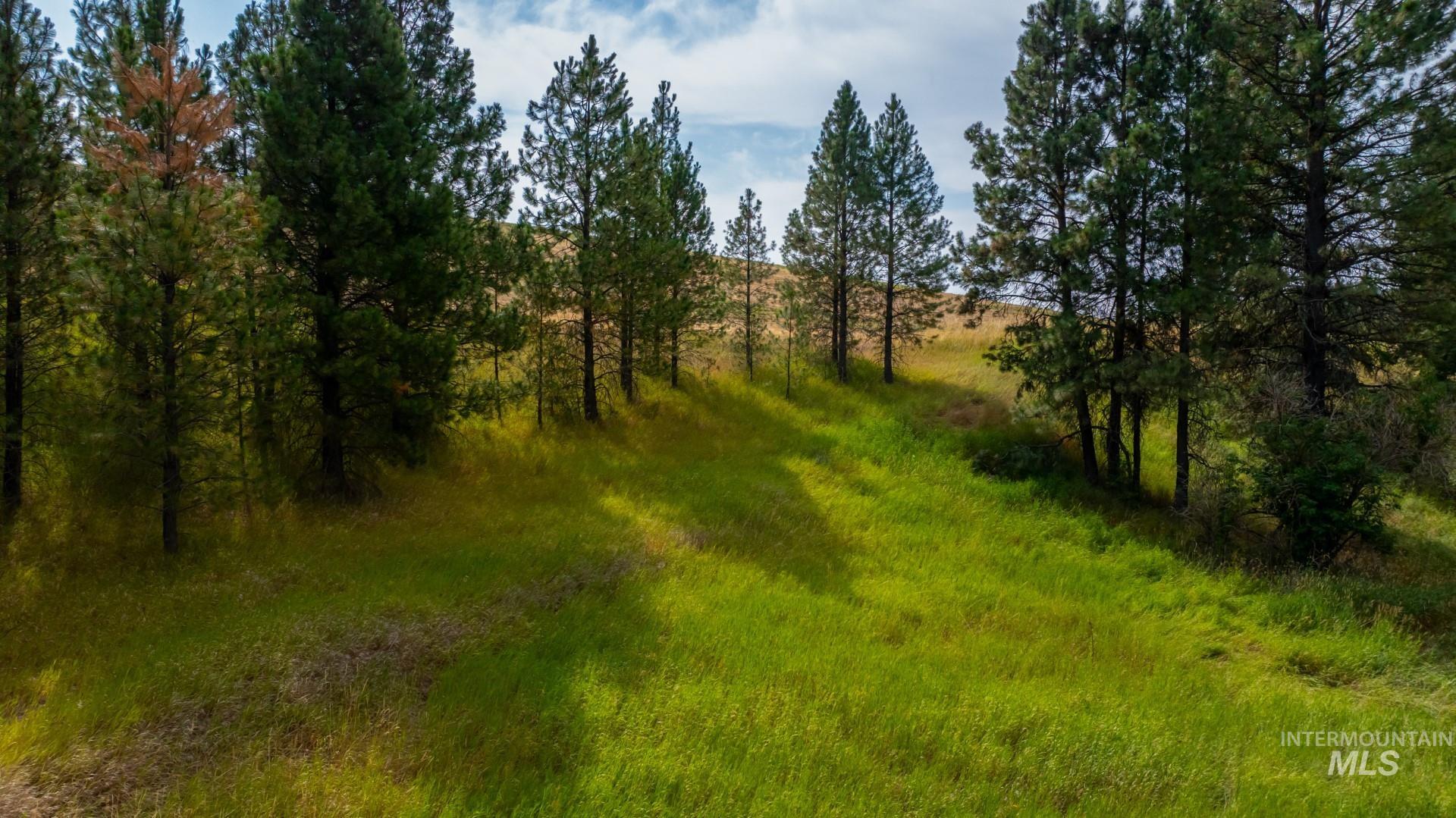 Tbd Parkins Road Property Photo 25