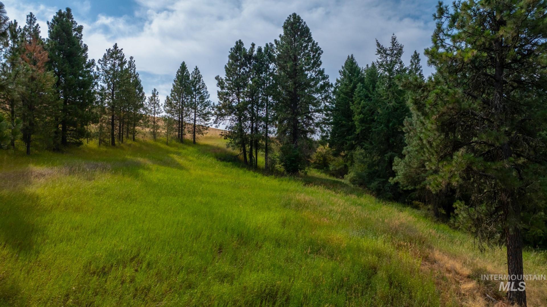 Tbd Parkins Road Property Photo 26