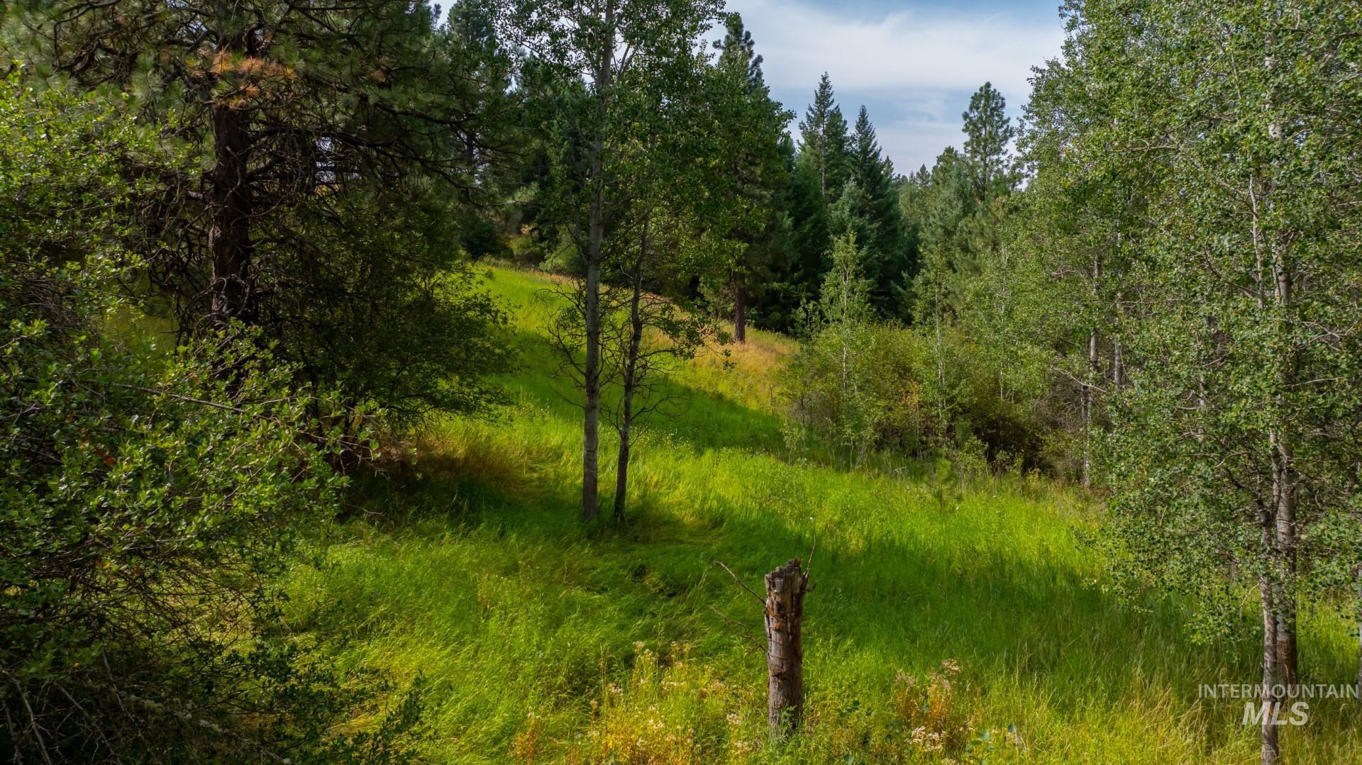 Tbd Parkins Road Property Photo 28