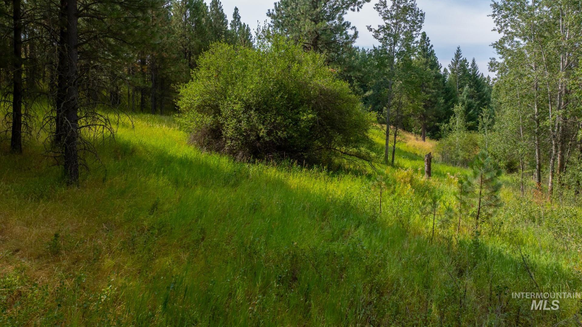 Tbd Parkins Road Property Photo 29