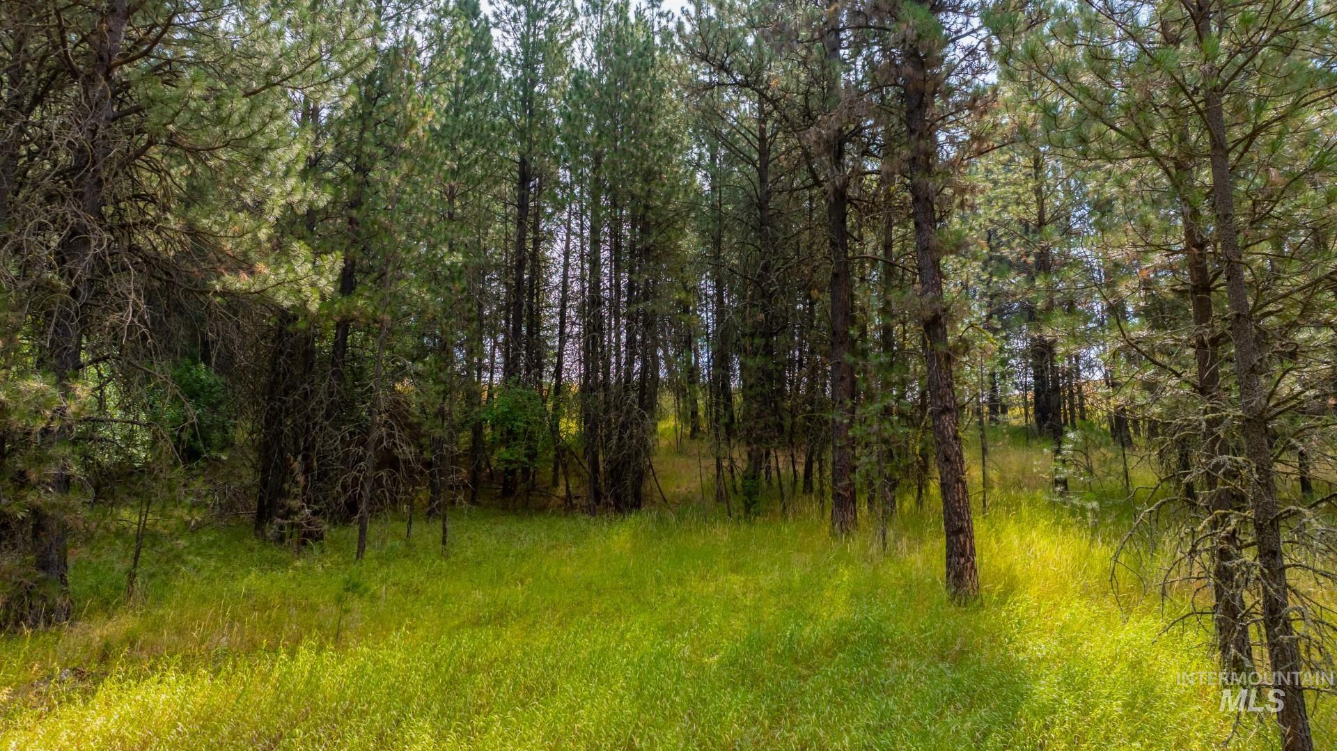 Tbd Parkins Road Property Photo 30