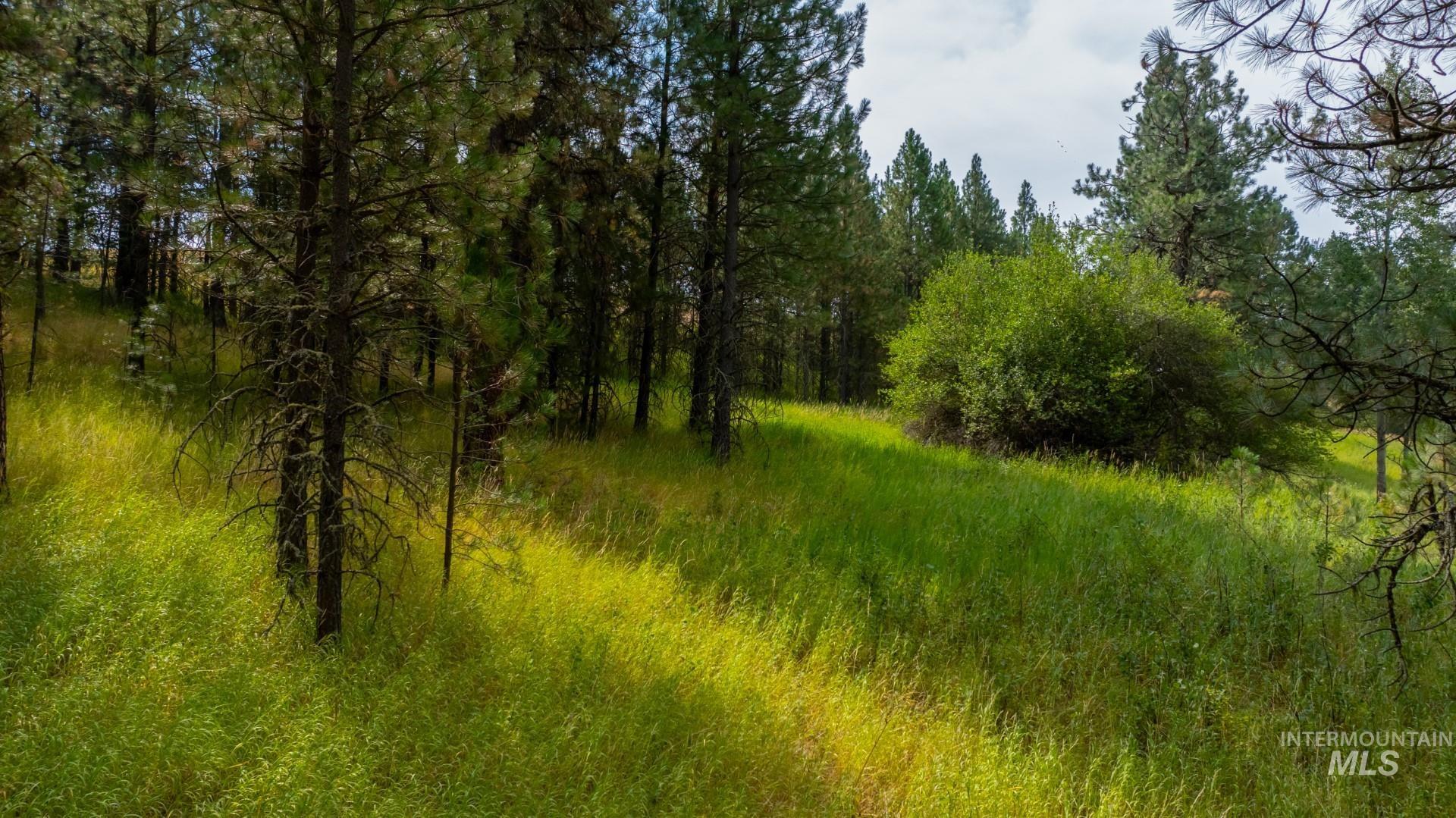 Tbd Parkins Road Property Photo 31