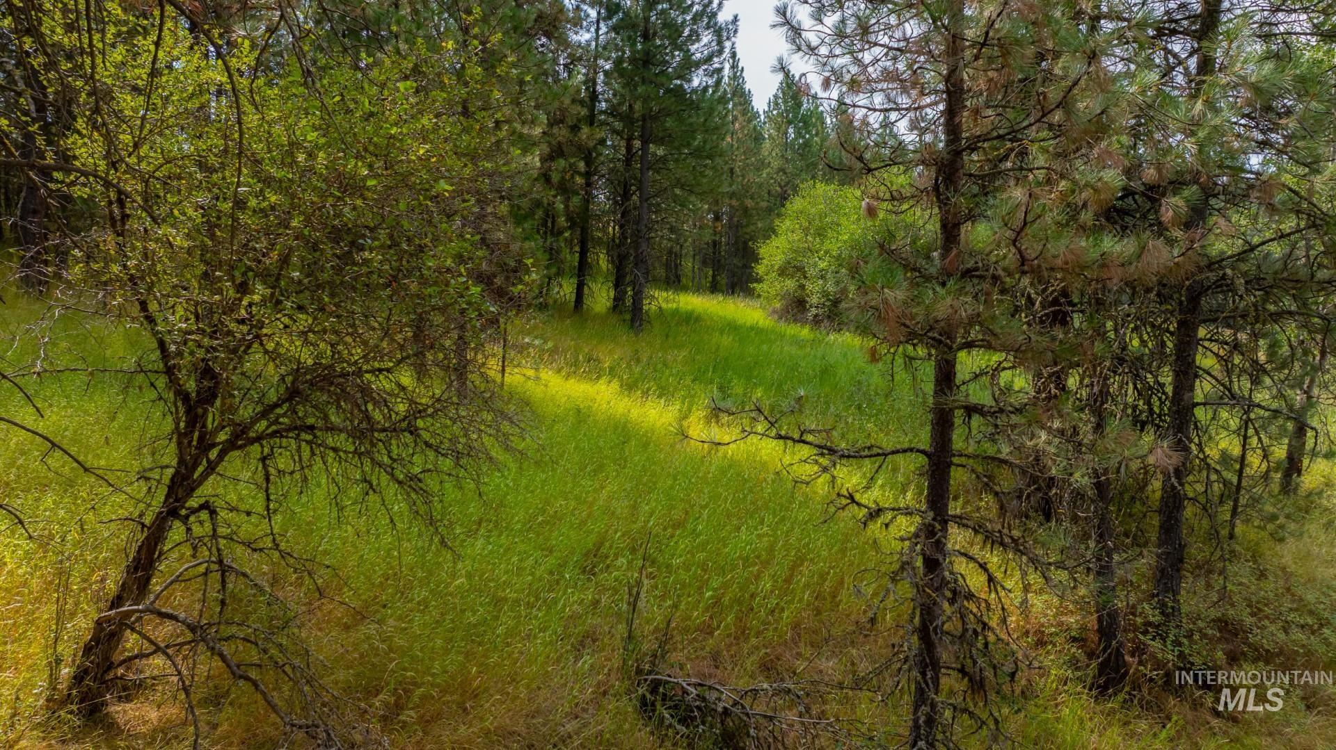 Tbd Parkins Road Property Photo 32