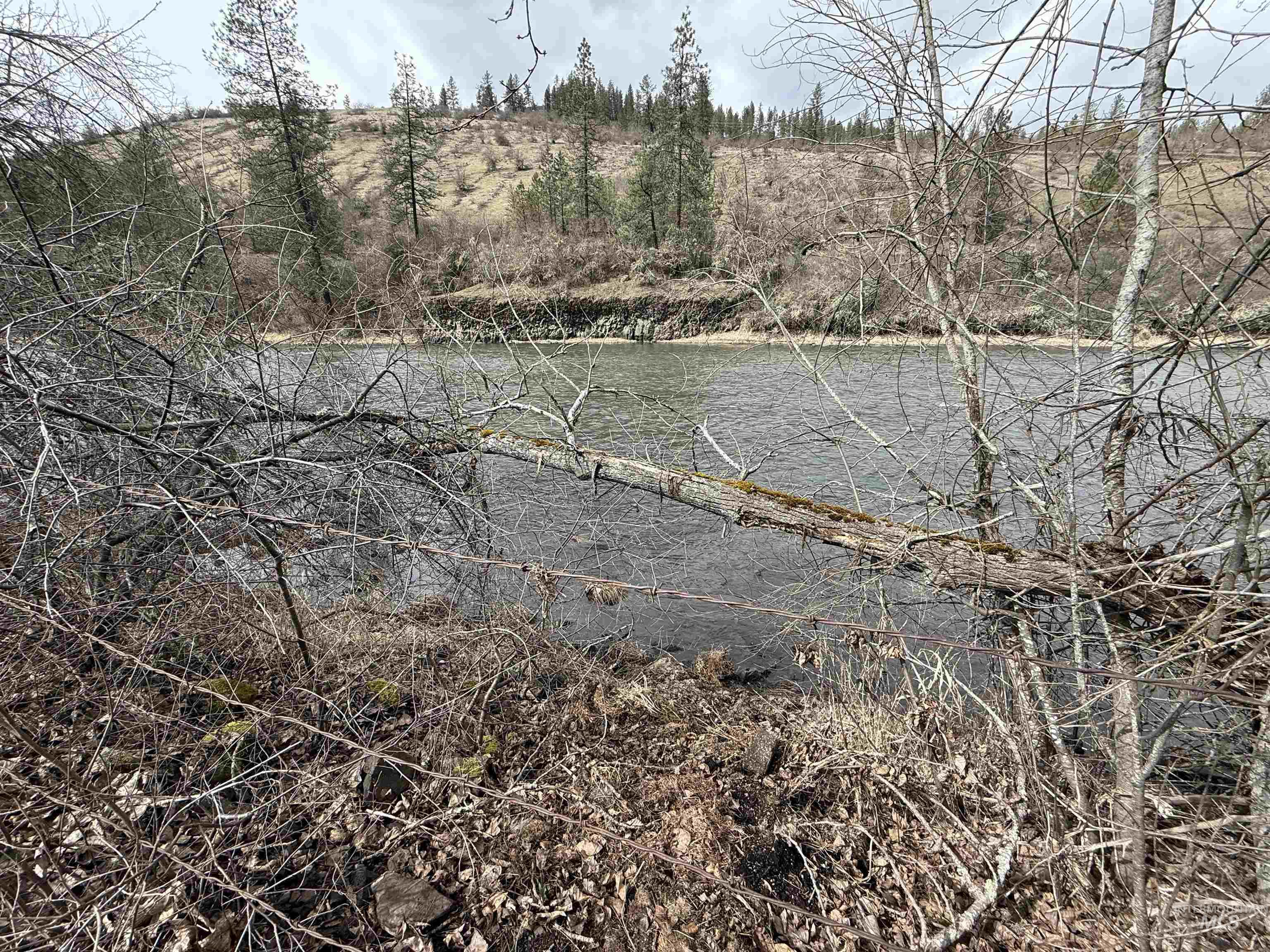 3731 Highway 13 Property Photo 3