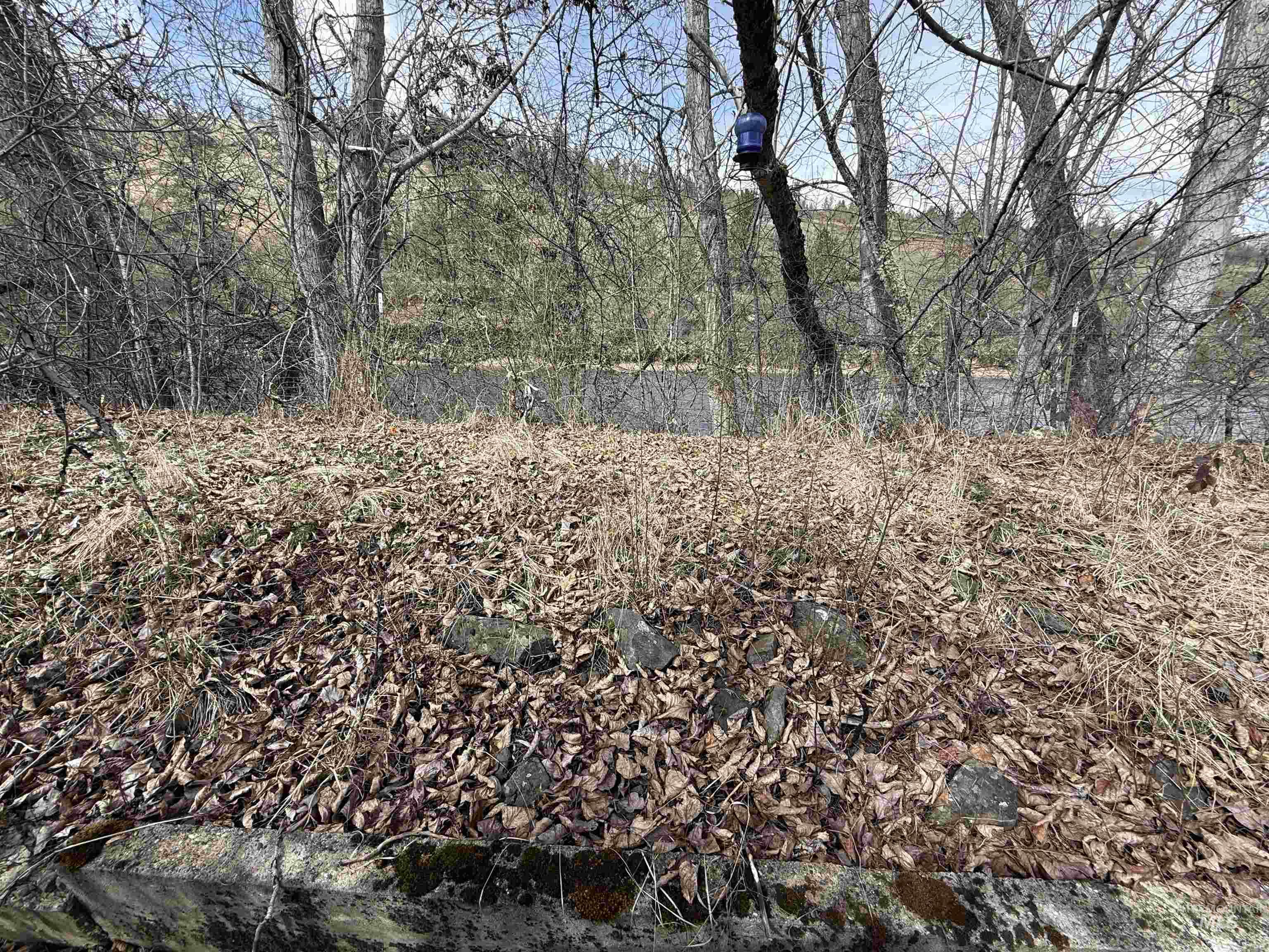 3731 Highway 13 Property Photo 4