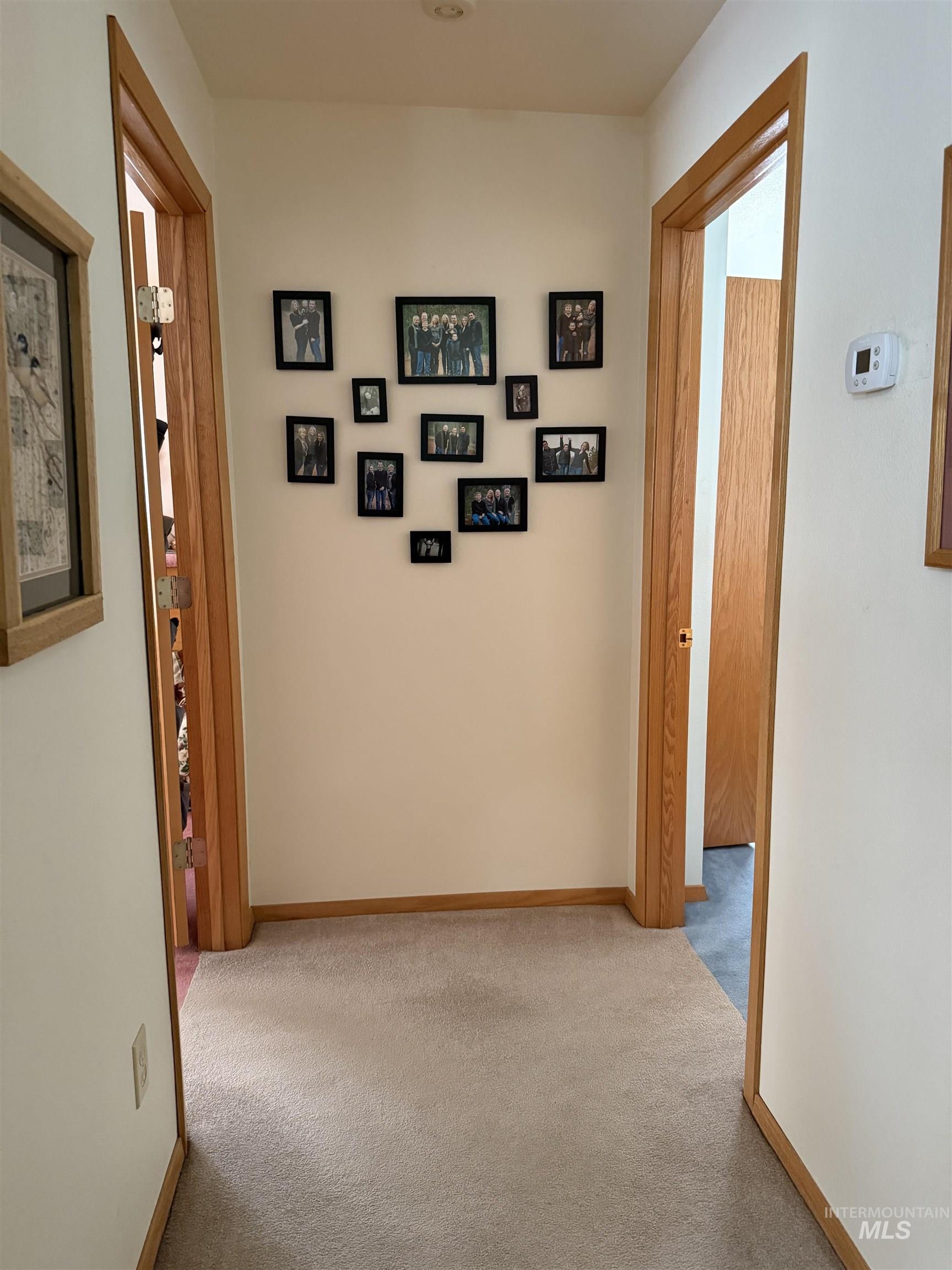 3731 Highway 13 Property Photo 19