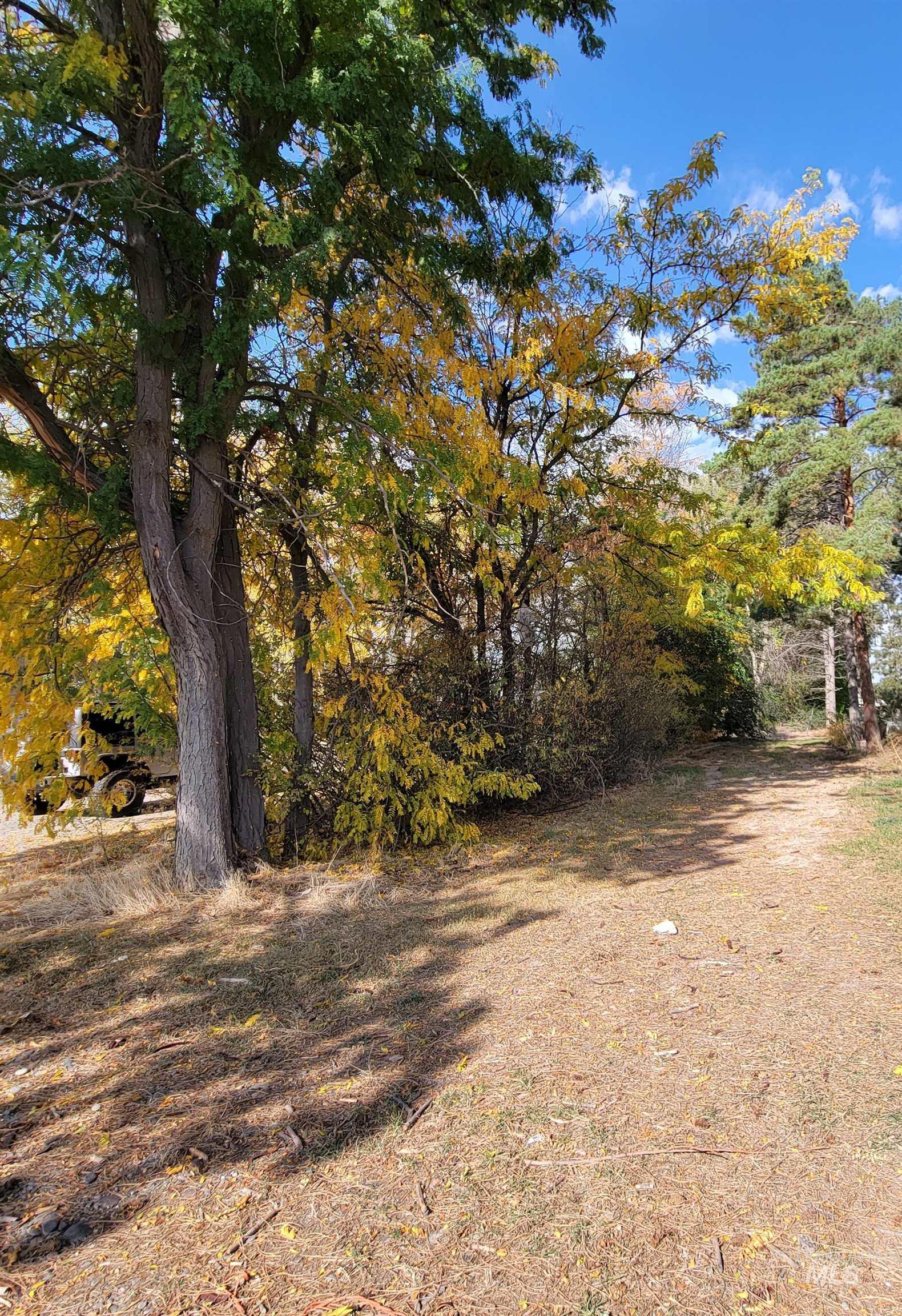 0 Park View Drive Property Photo 6