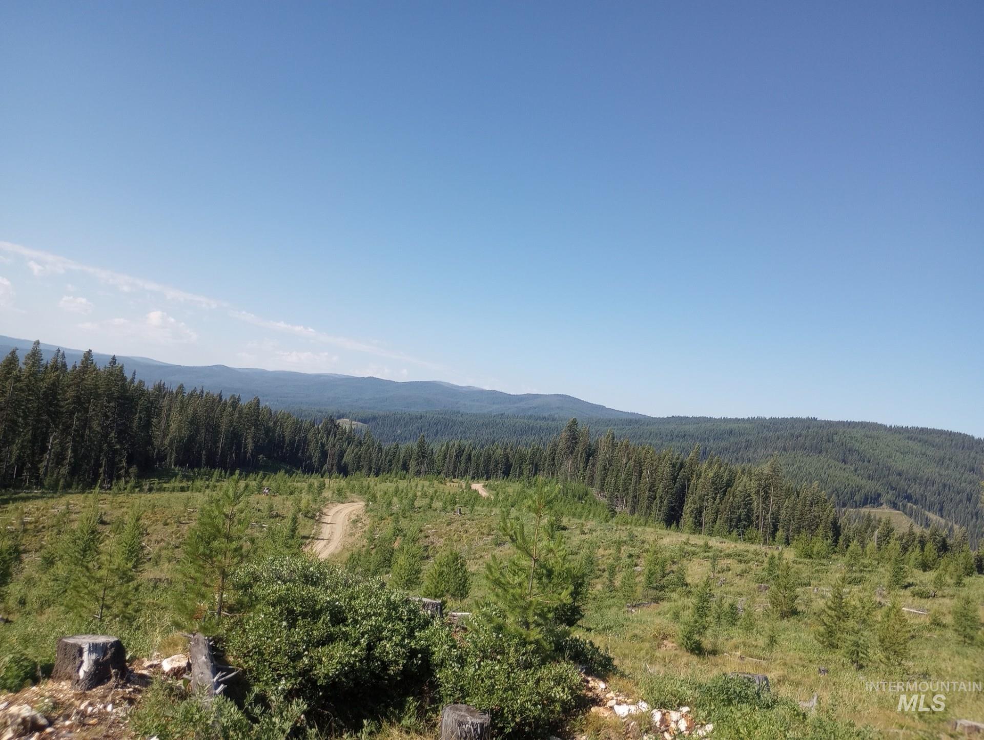 Tbd French Gulch Rd Parcel 2 & 3 Property Photo 1