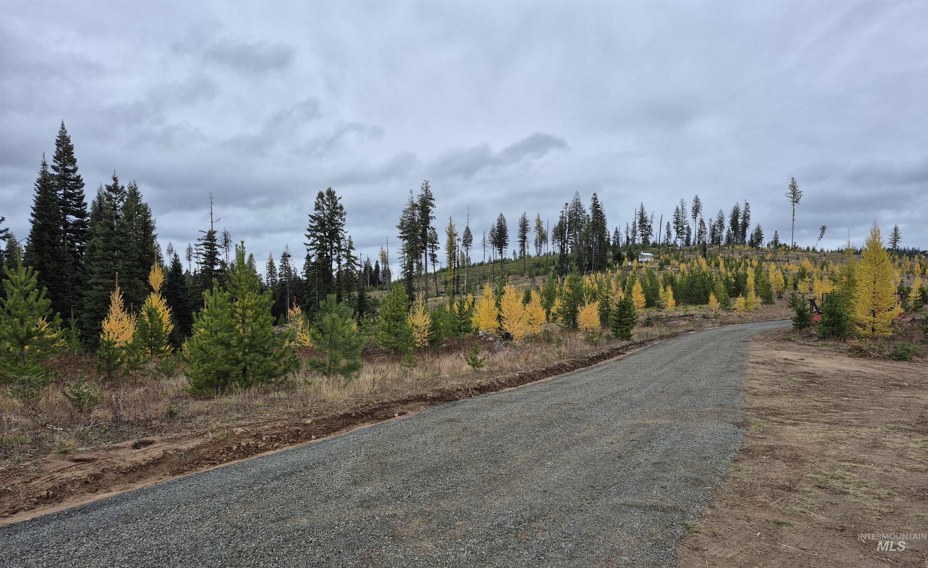 Tbd French Gulch Rd Parcel 2 & 3 Property Photo 1