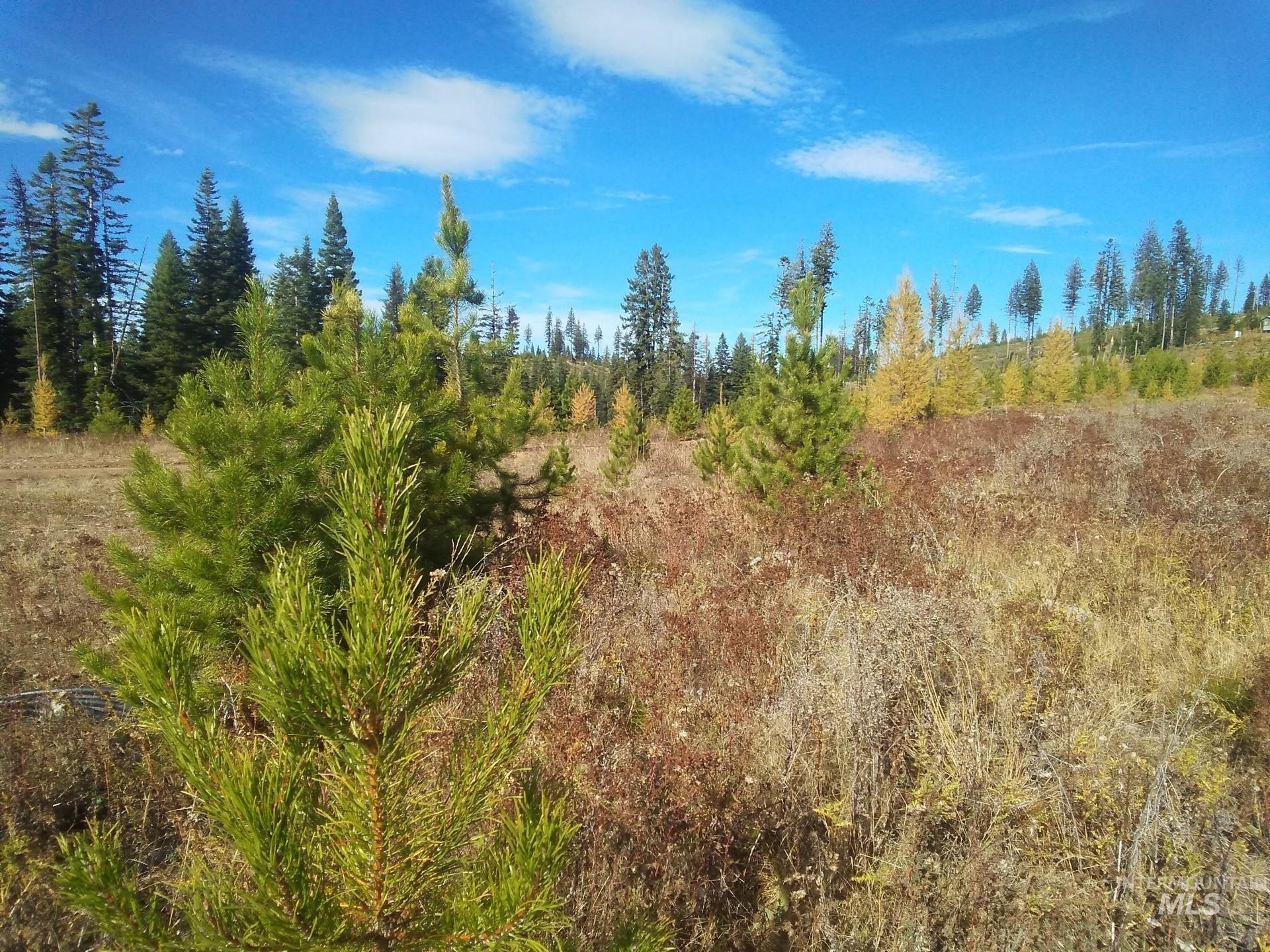 Tbd French Gulch Rd Parcel 2 & 3 Property Photo 3
