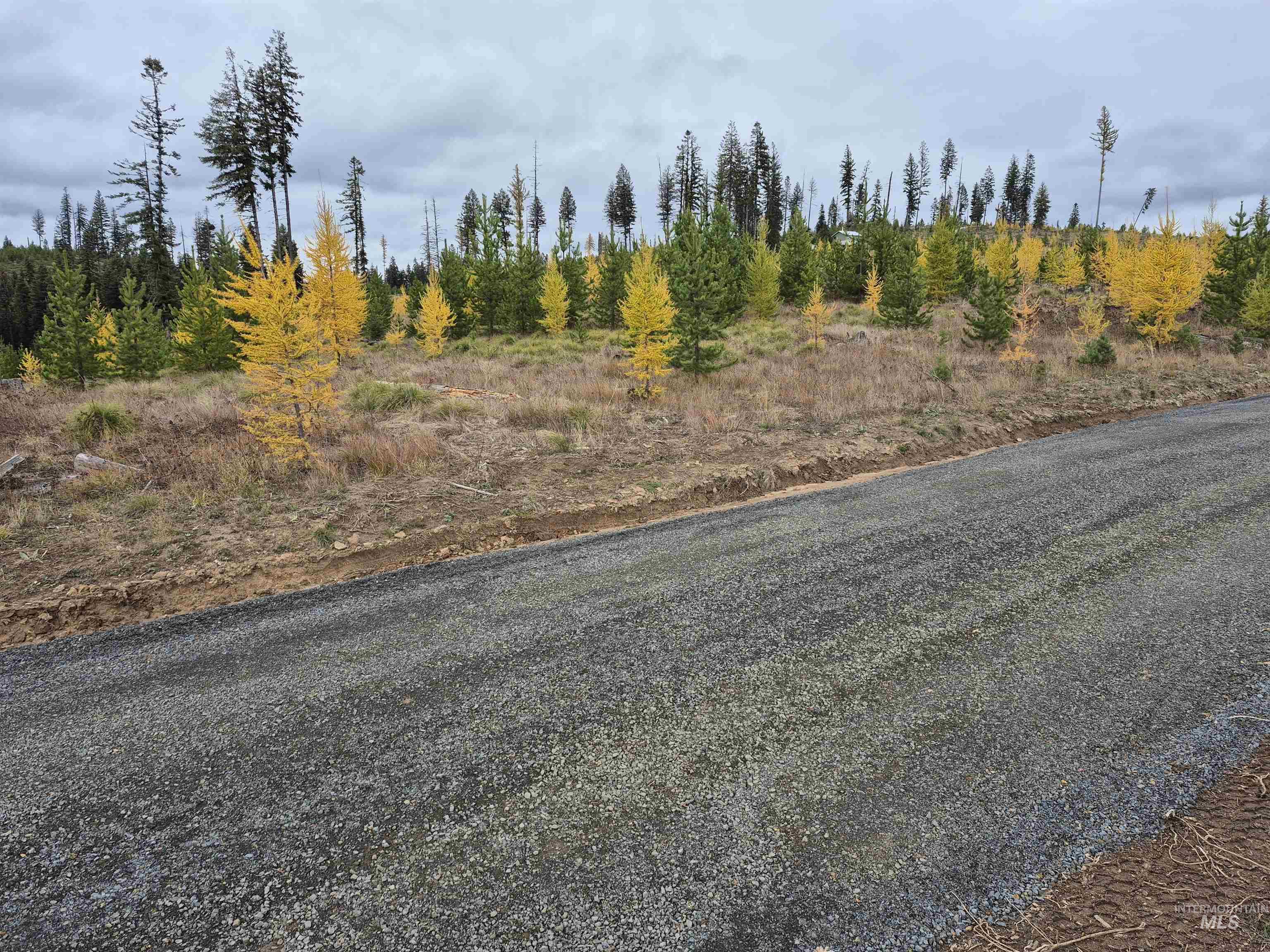 Tbd French Gulch Rd Parcel 2 & 3 Property Photo 4