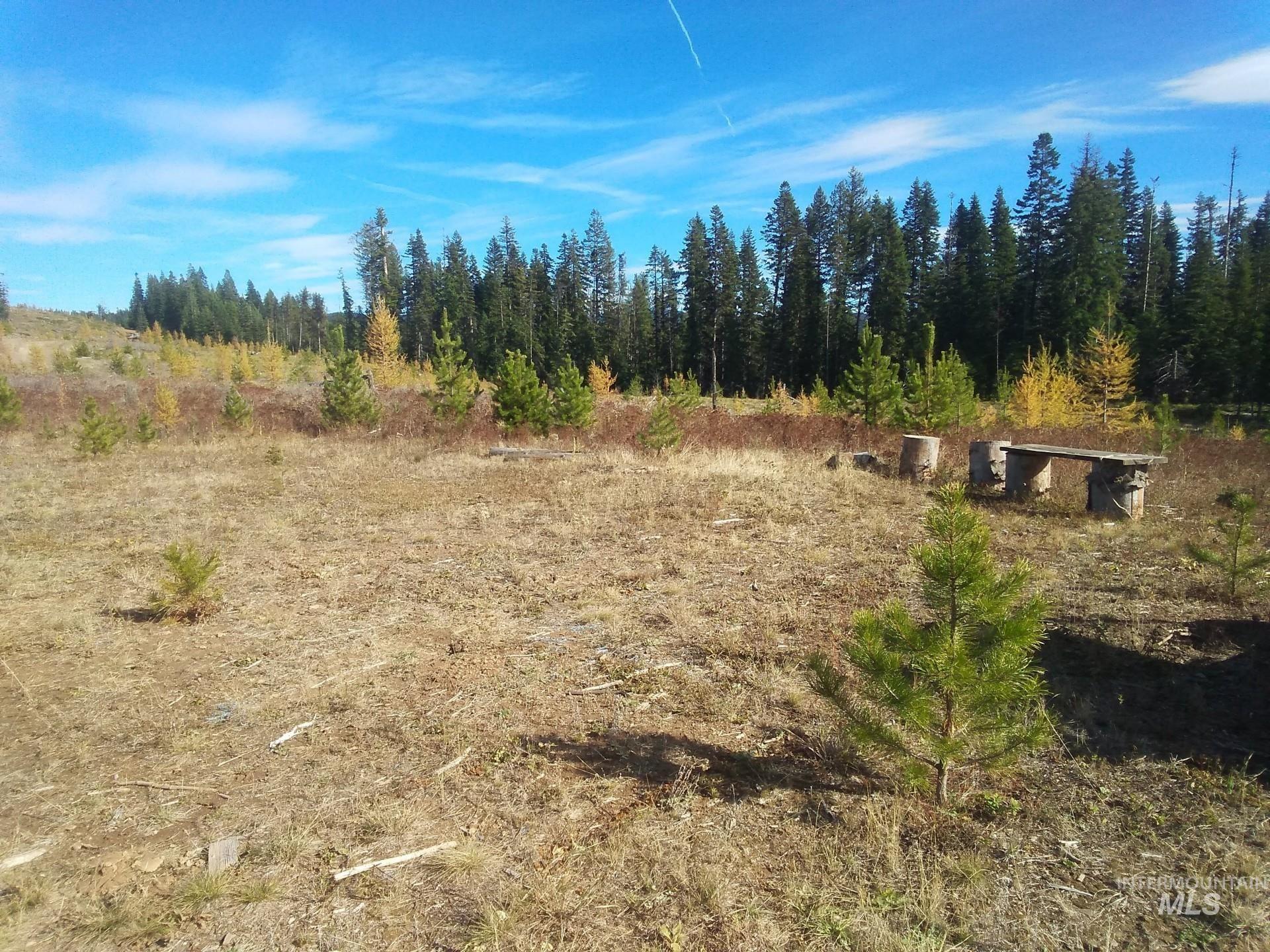 Tbd French Gulch Rd Parcel 2 & 3 Property Photo 13