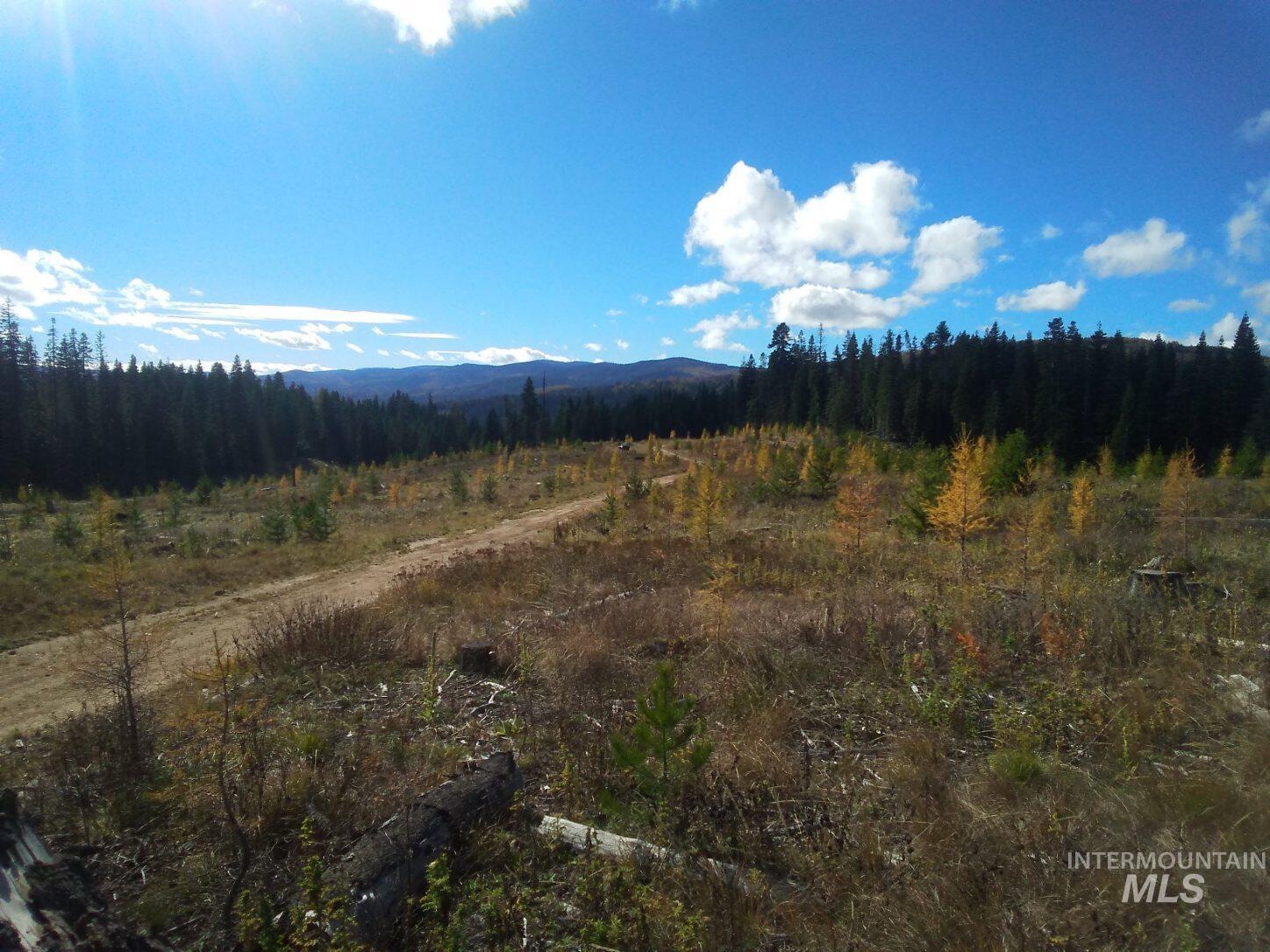 Tbd French Gulch Rd Parcel 2 & 3 Property Photo 14