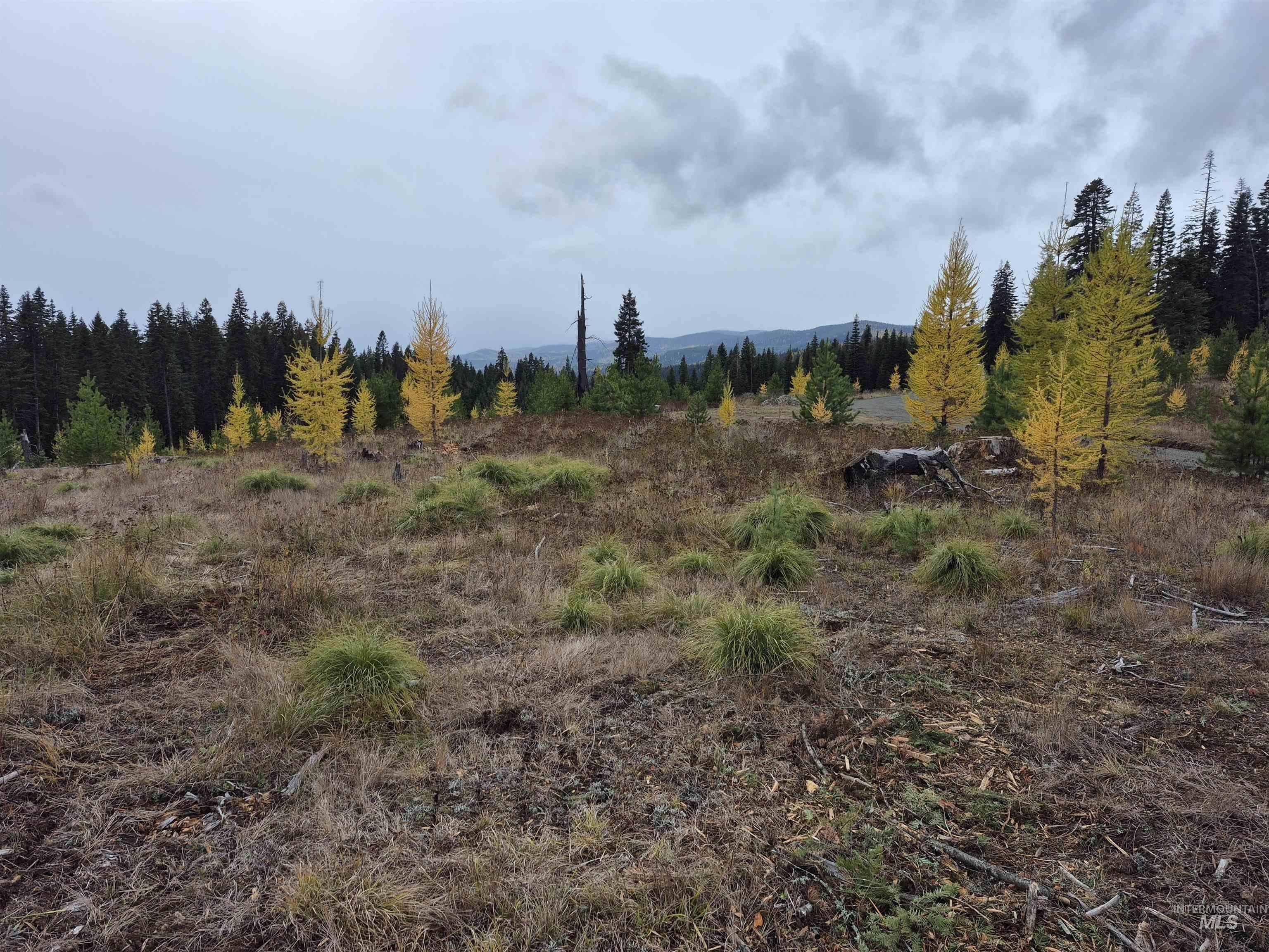 Tbd French Gulch Rd Parcel 2 & 3 Property Photo 15