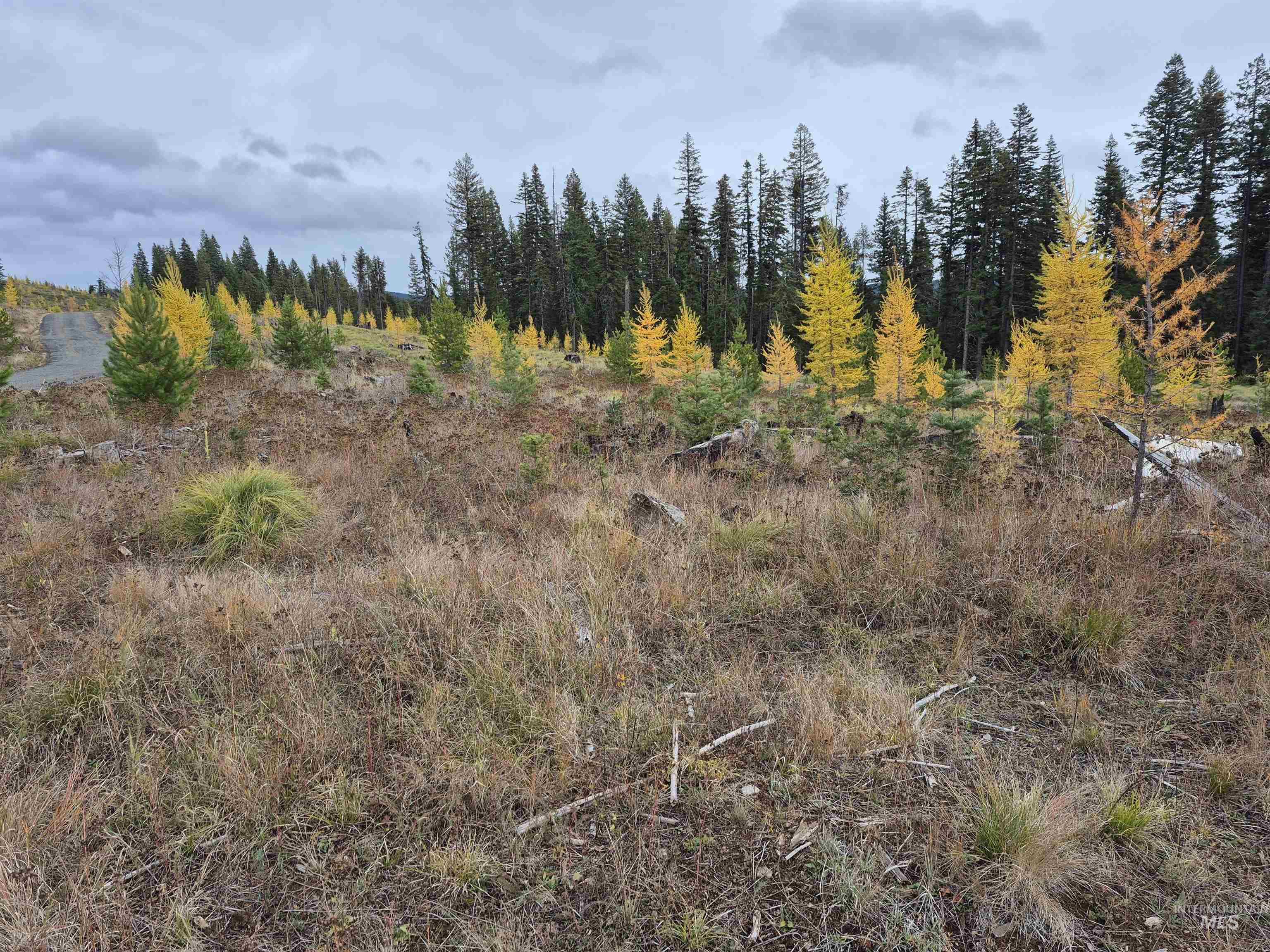 Tbd French Gulch Rd Parcel 2 & 3 Property Photo 16