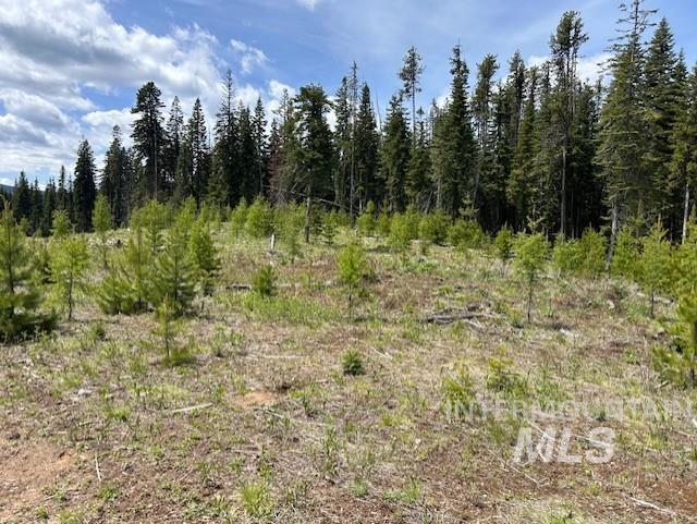 Tbd French Gulch Rd Parcel 2 & 3 Property Photo 17