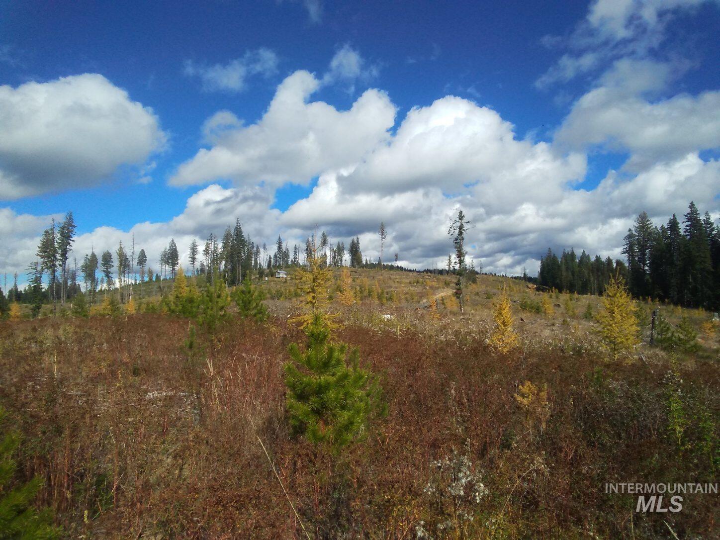 Tbd French Gulch Rd Parcel 2 & 3 Property Photo 21
