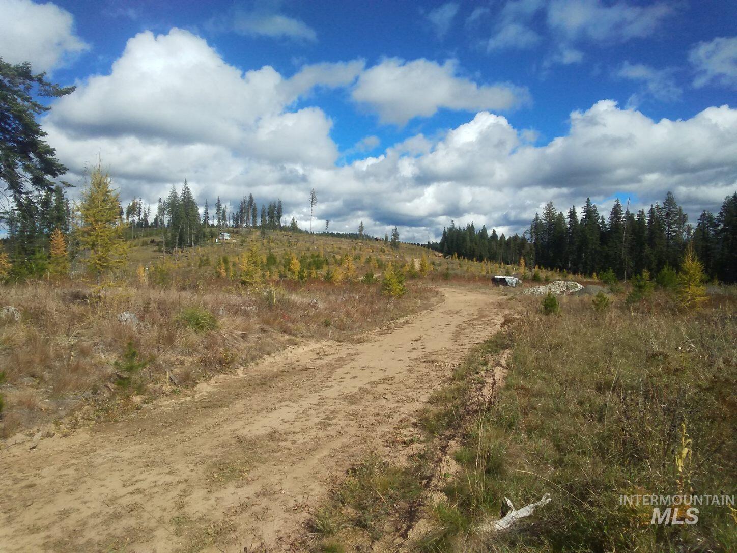 Tbd French Gulch Rd Parcel 2 & 3 Property Photo 22