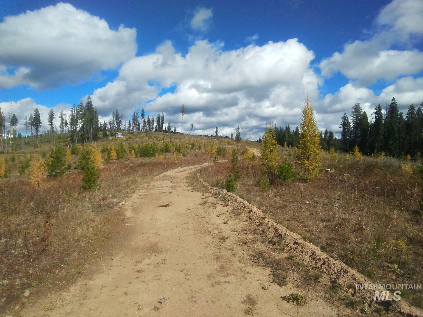 Tbd French Gulch Rd Parcel 2 & 3 Property Photo 25