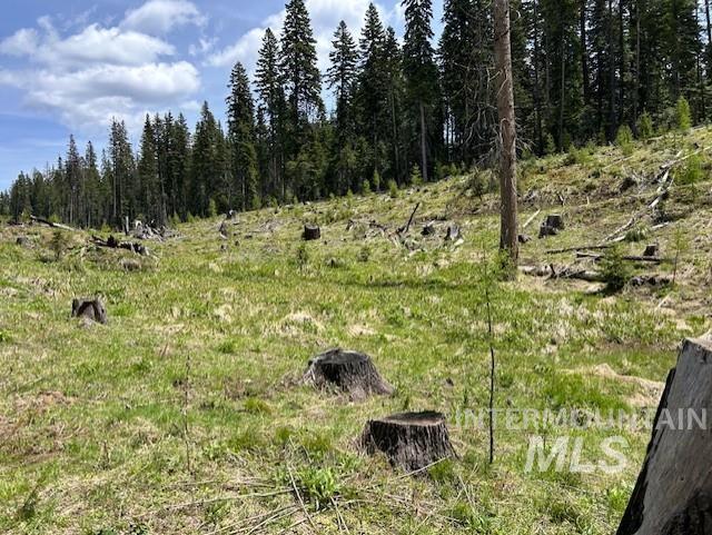 Tbd French Gulch Rd Parcel 2 & 3 Property Photo 27