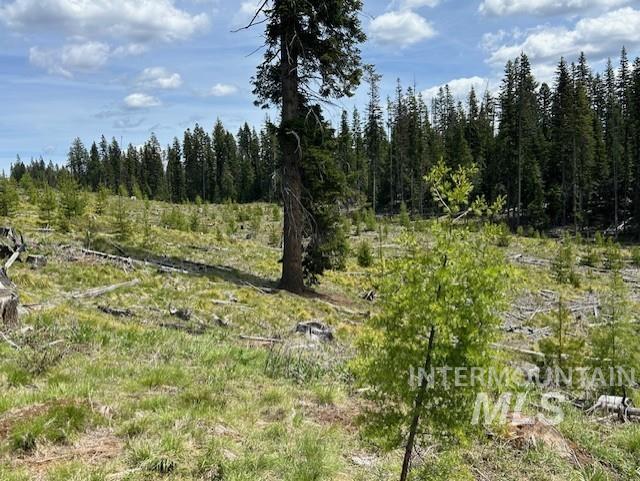 Tbd French Gulch Rd Parcel 2 & 3 Property Photo 28