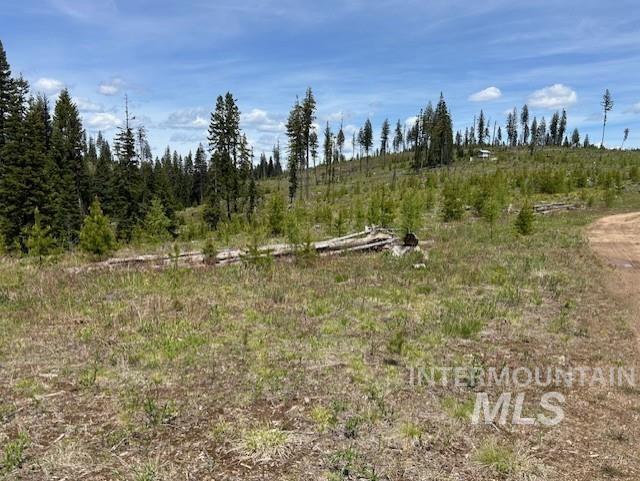 Tbd French Gulch Rd Parcel 2 & 3 Property Photo 30