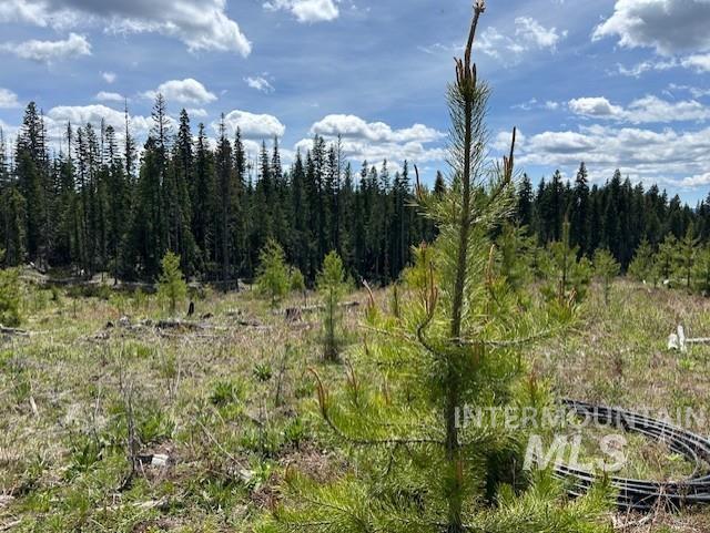 Tbd French Gulch Rd Parcel 2 & 3 Property Photo 31