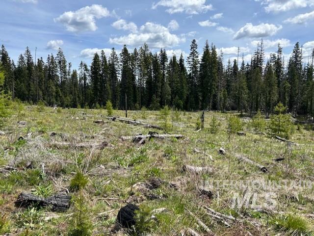 Tbd French Gulch Rd Parcel 2 & 3 Property Photo 32