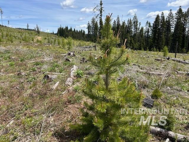 Tbd French Gulch Rd Parcel 2 & 3 Property Photo 33