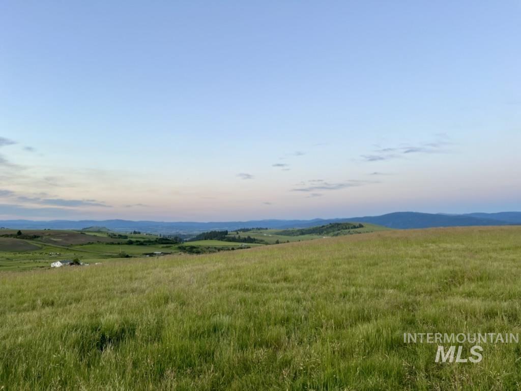 122 Windrow Lane Property Photo