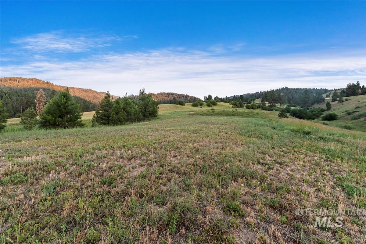 98 Pine Heights Dr Property Photo 14