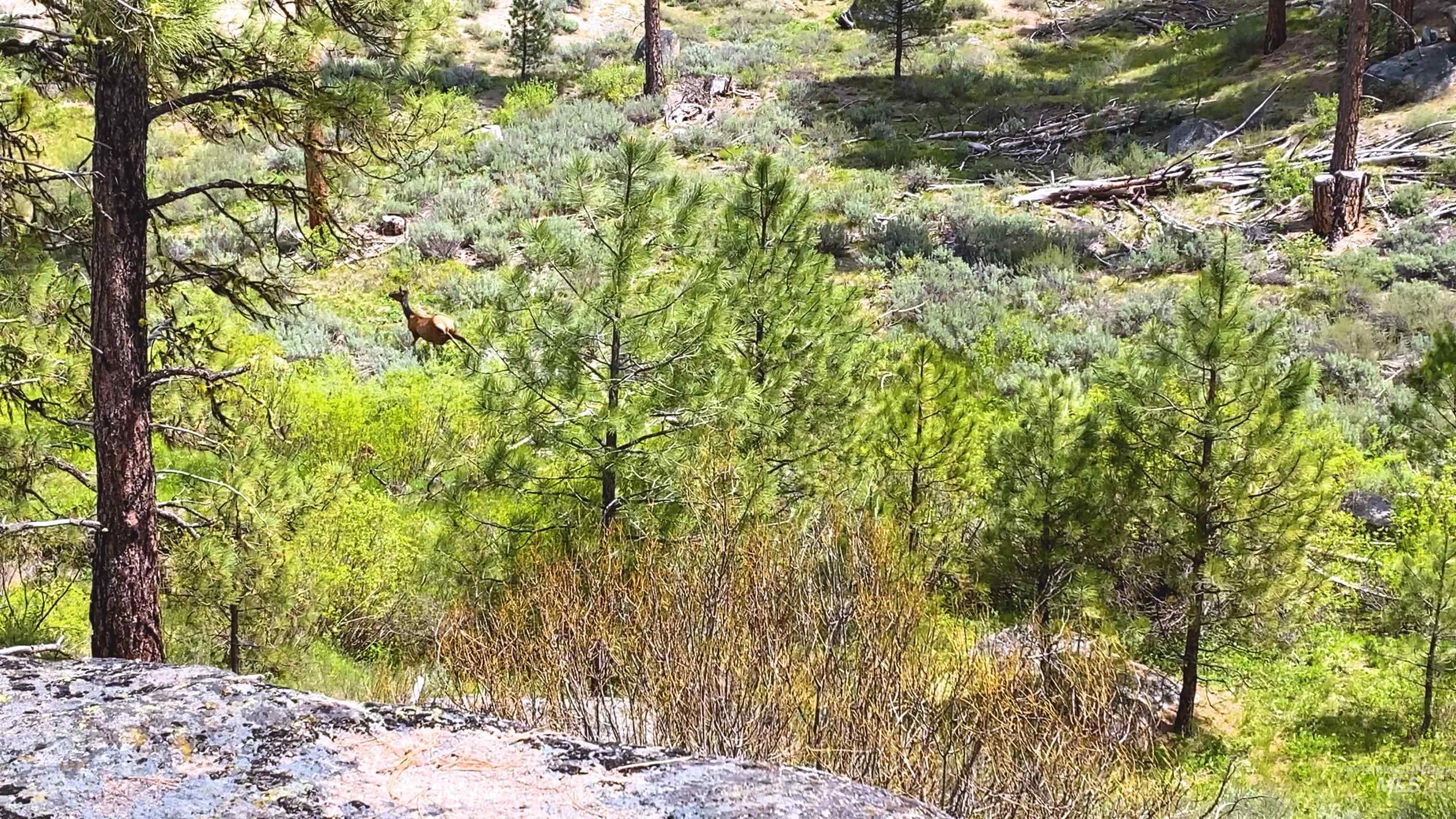 Tbd1 Harris Creek Rd Property Photo 10
