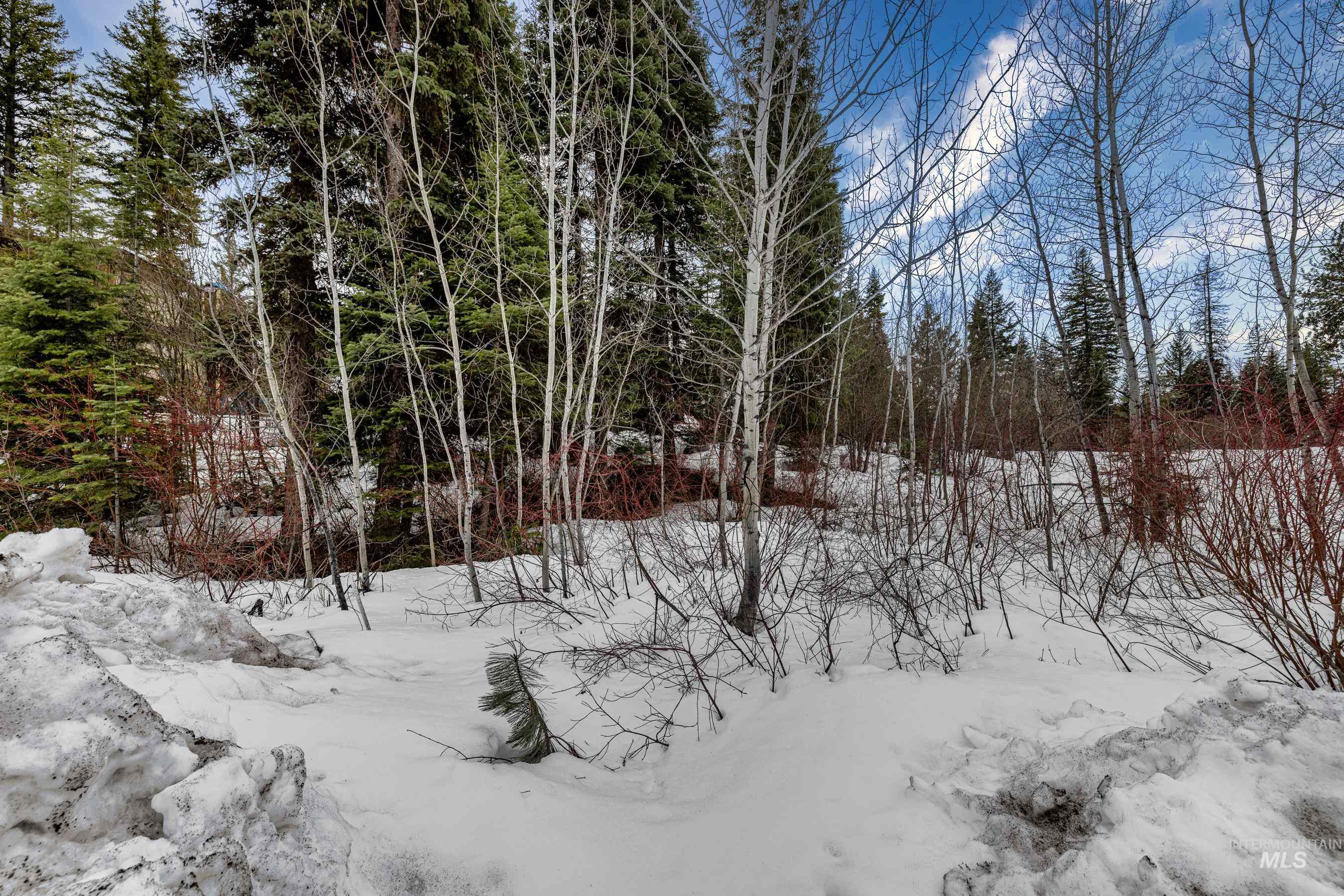 Tbd Violet Way Property Photo 4