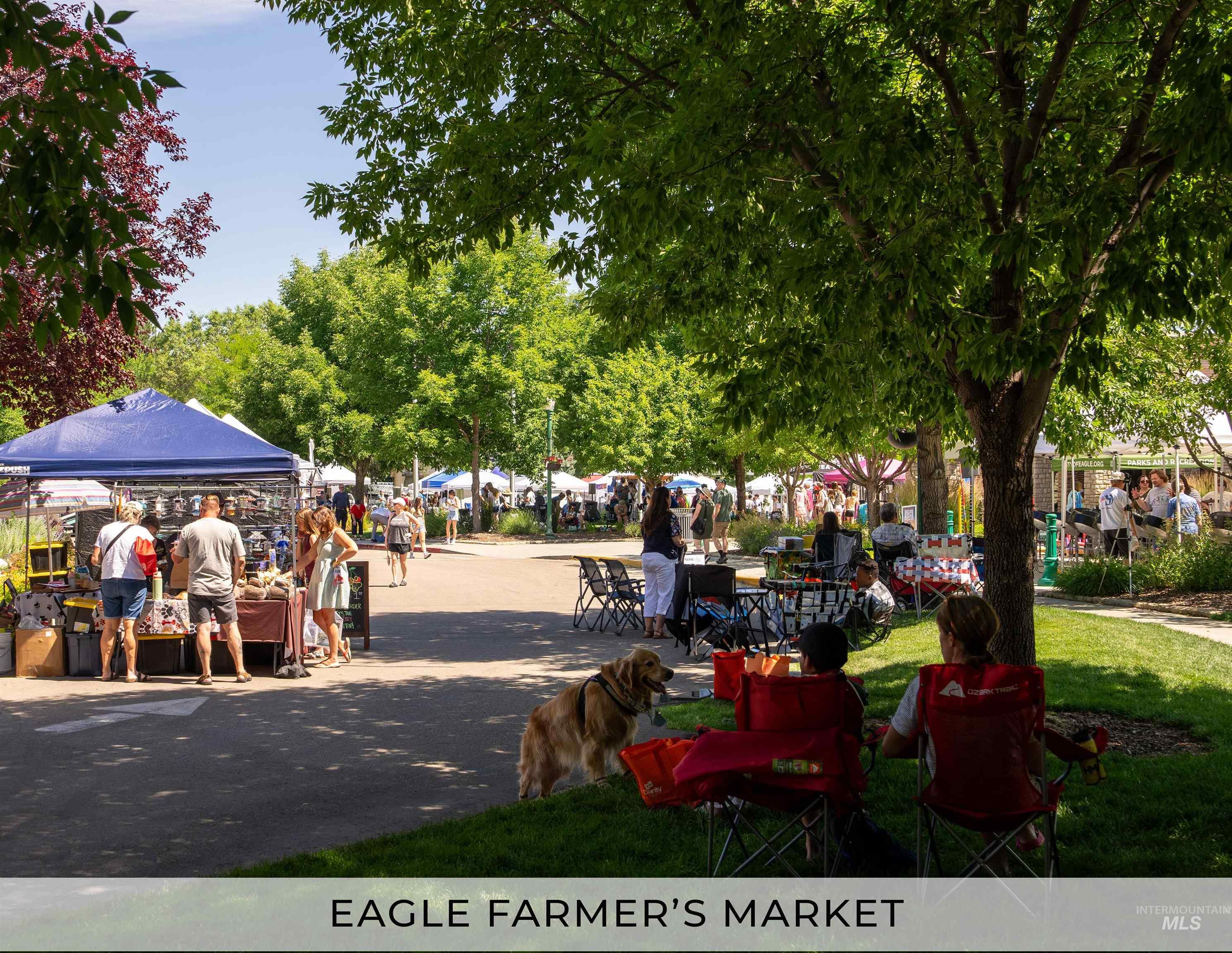 817 N Gracie Avenue Property Photo 8