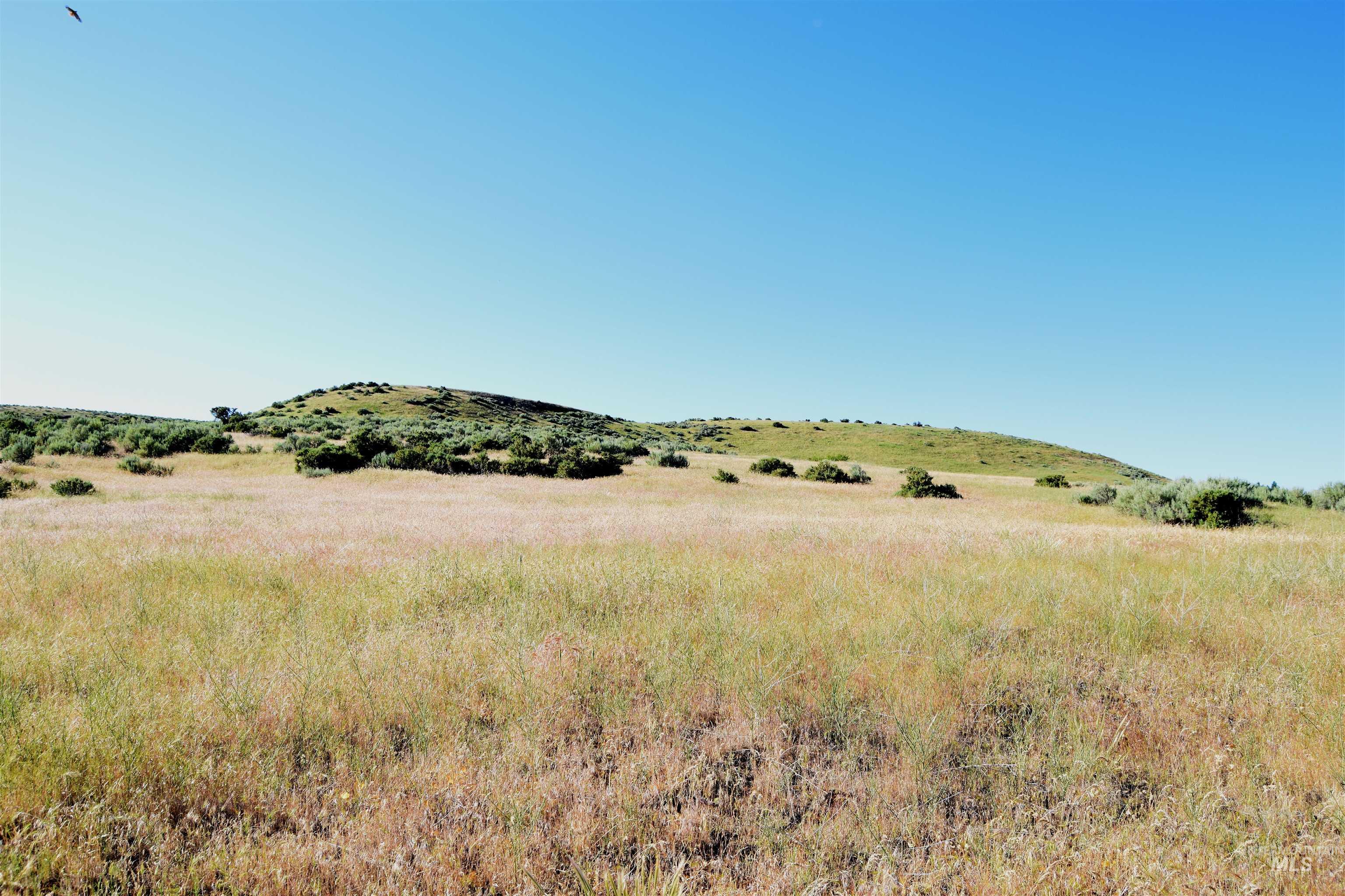 Tbd Us Hwy 95 Property Photo 3