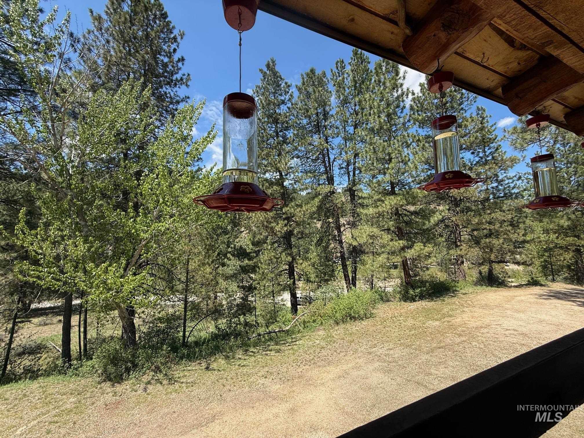 3087 Hwy 21 Property Photo 15