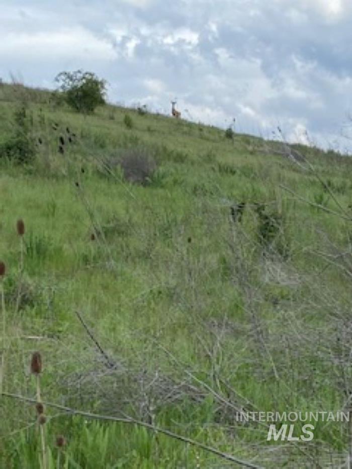 Tbd Kettenbaugh Grade Property Photo 8