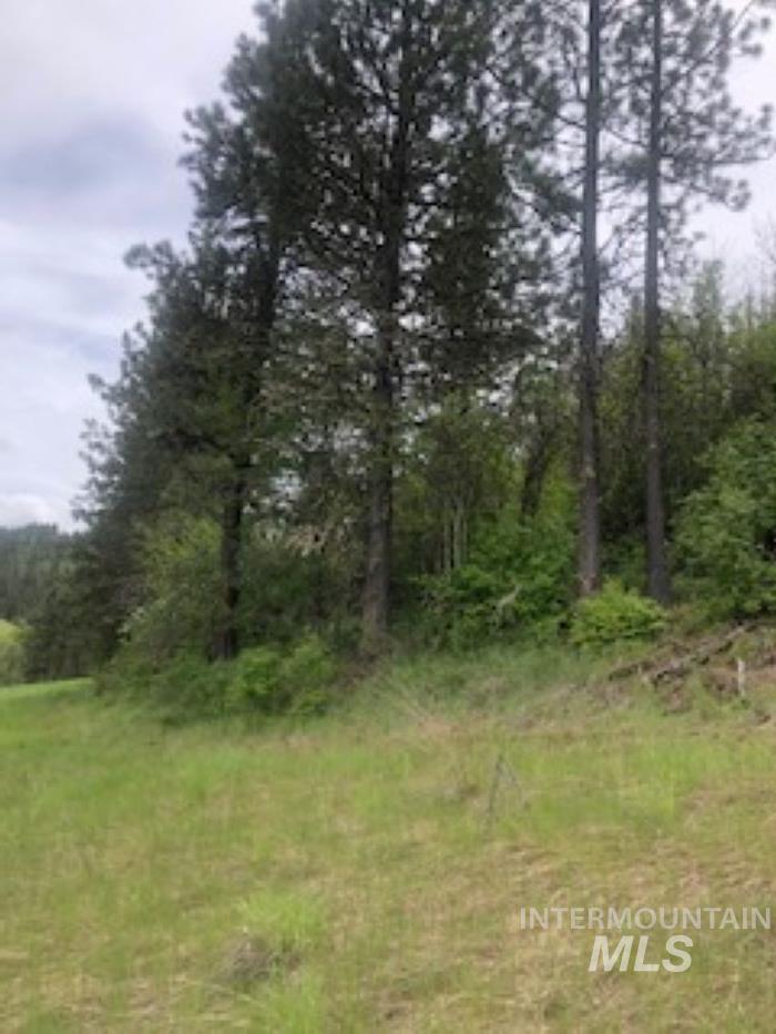 Tbd Kettenbaugh Grade Property Photo 9