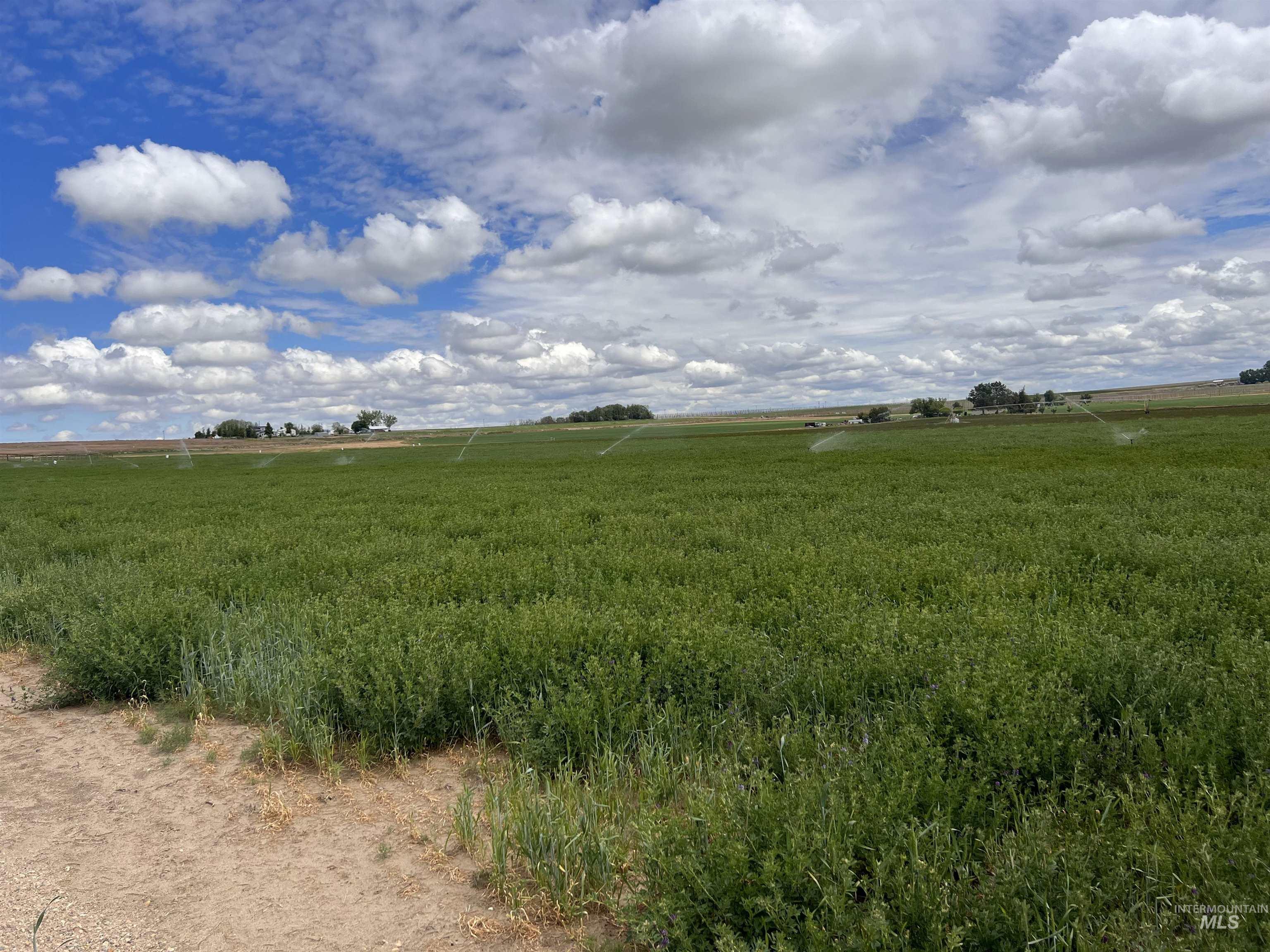 Tbd Dixie Road Property Photo 3