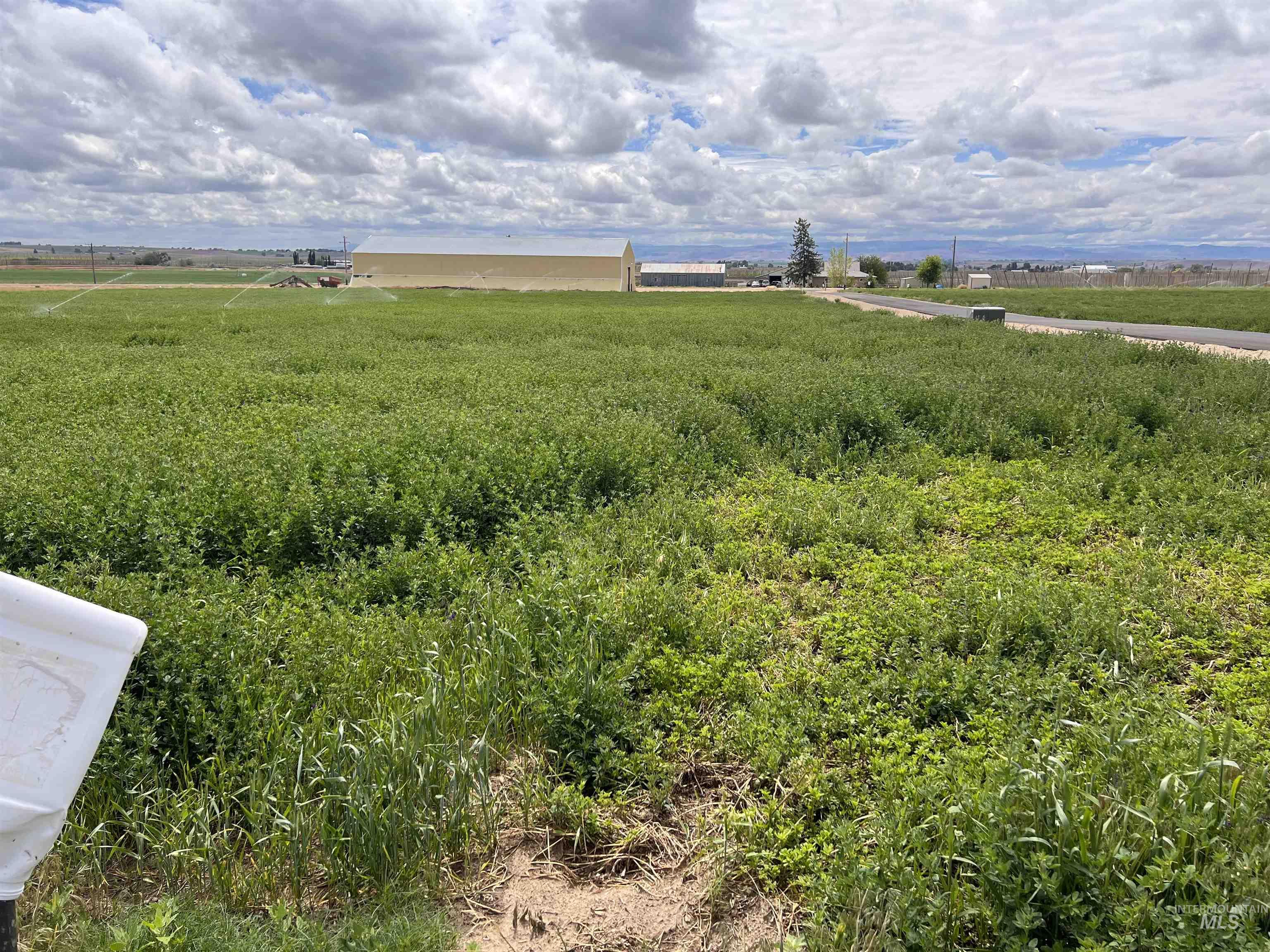 Tbd Dixie Road Property Photo 6