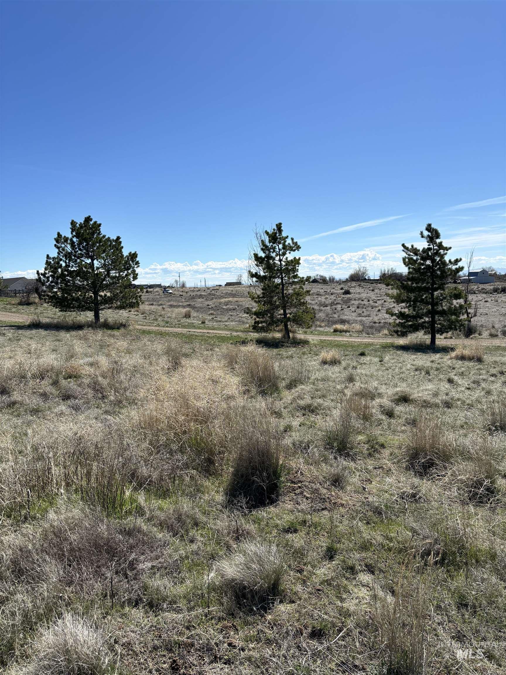Tbd Soles Rest Creek Rd Property Photo 3