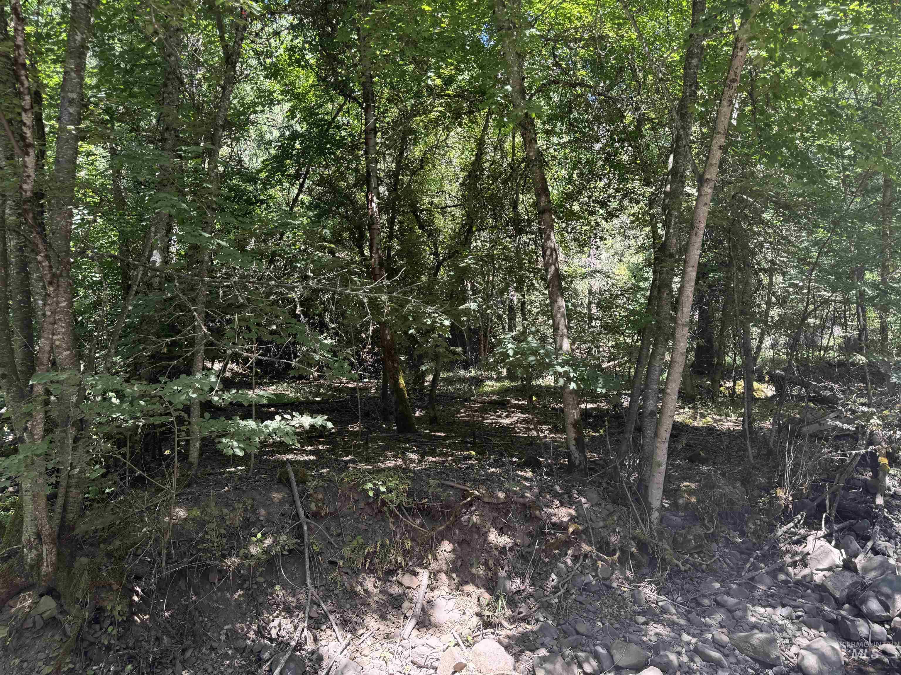 187 Deer Creek Rd Property Photo 1