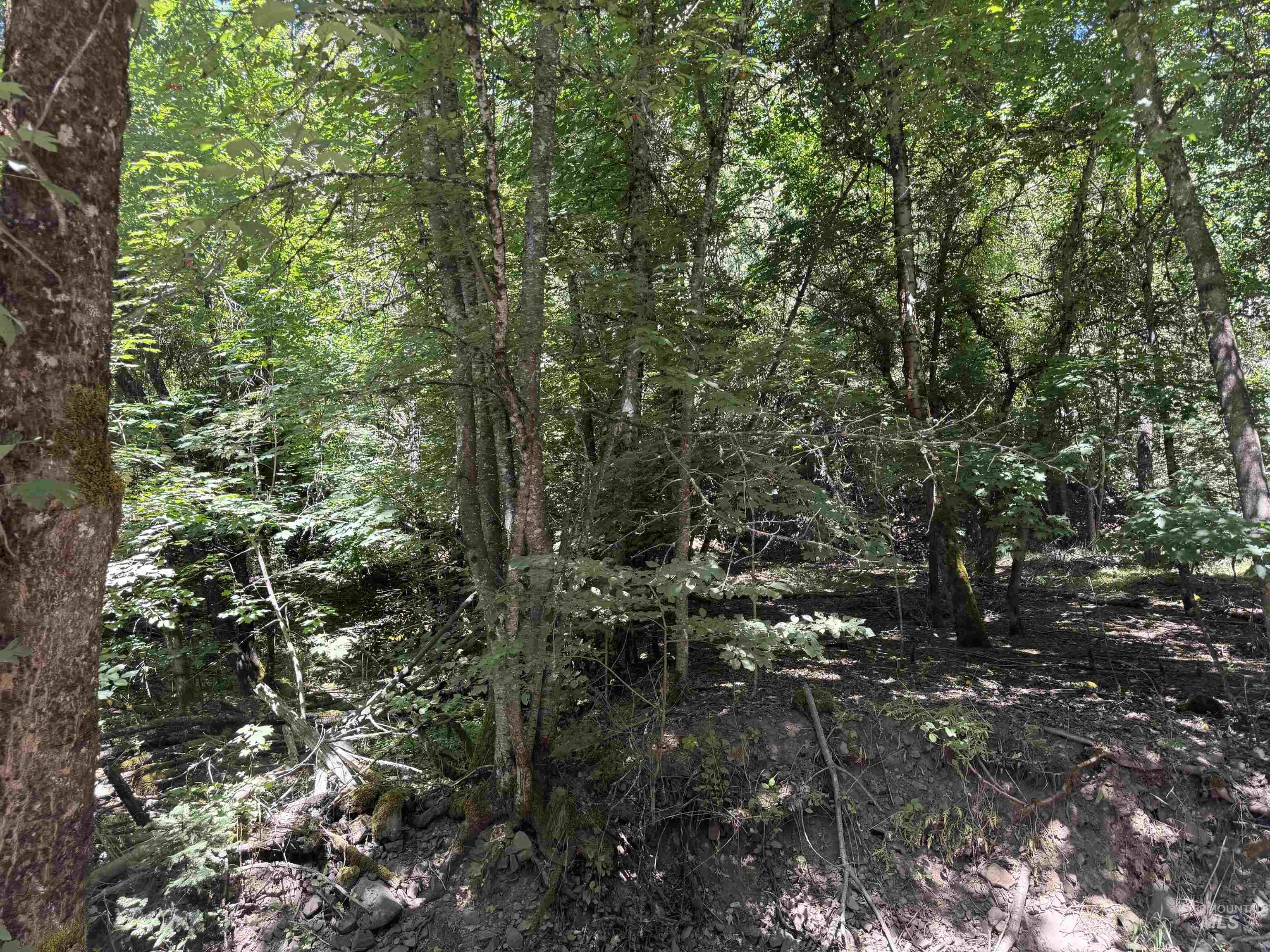 187 Deer Creek Rd Property Photo 2
