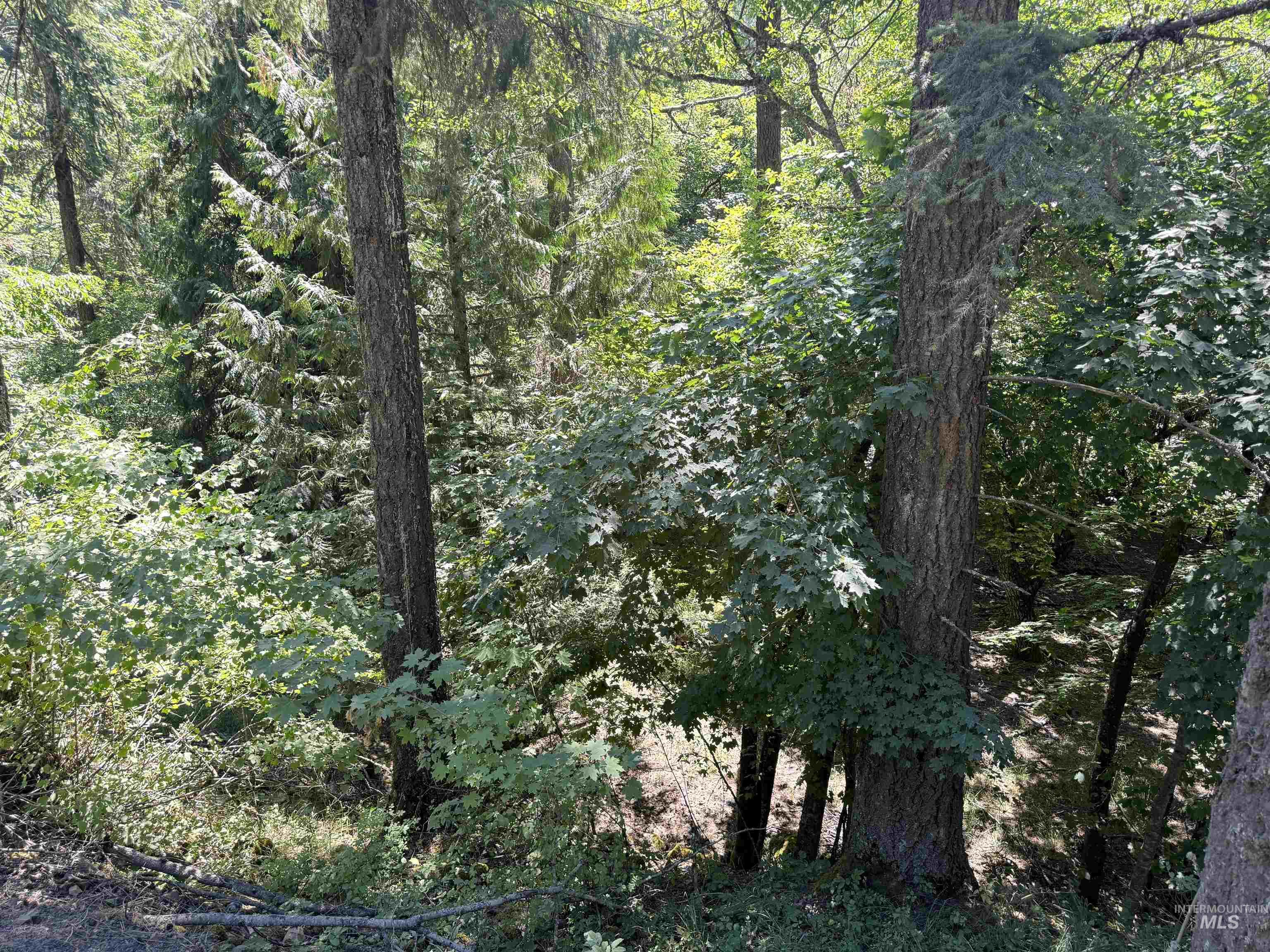 187 Deer Creek Rd Property Photo 3