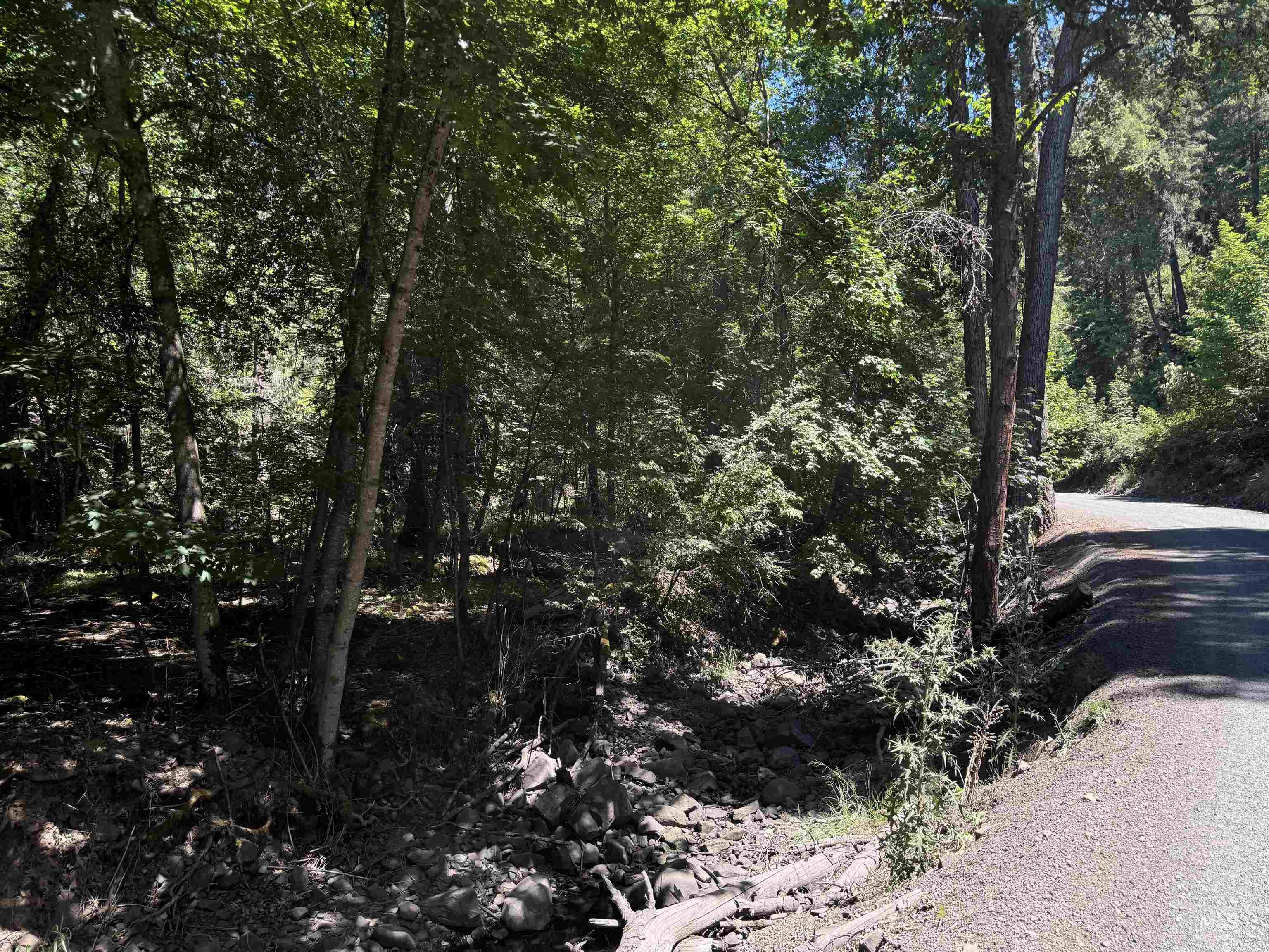 187 Deer Creek Rd Property Photo 4
