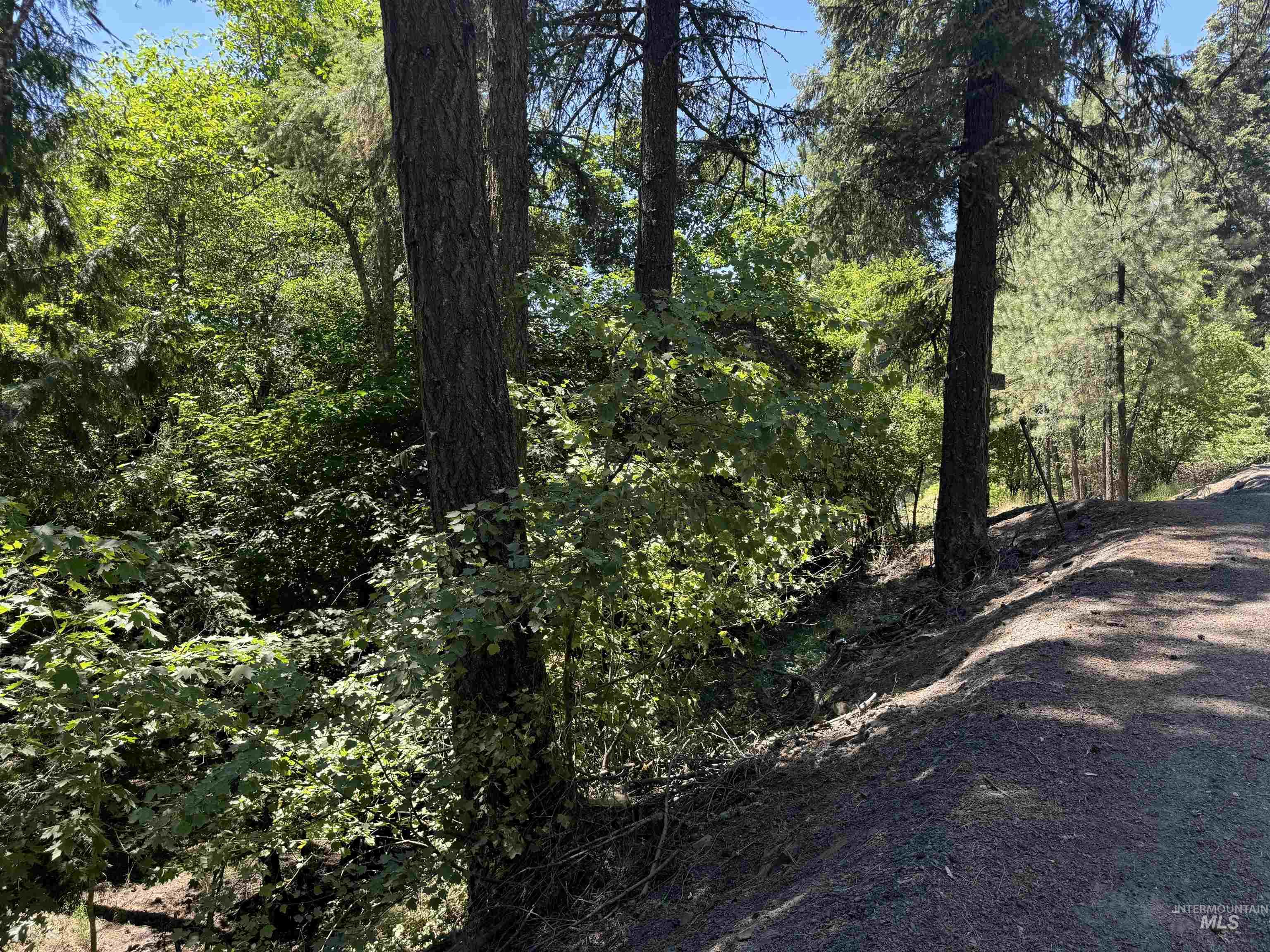 187 Deer Creek Rd Property Photo 6