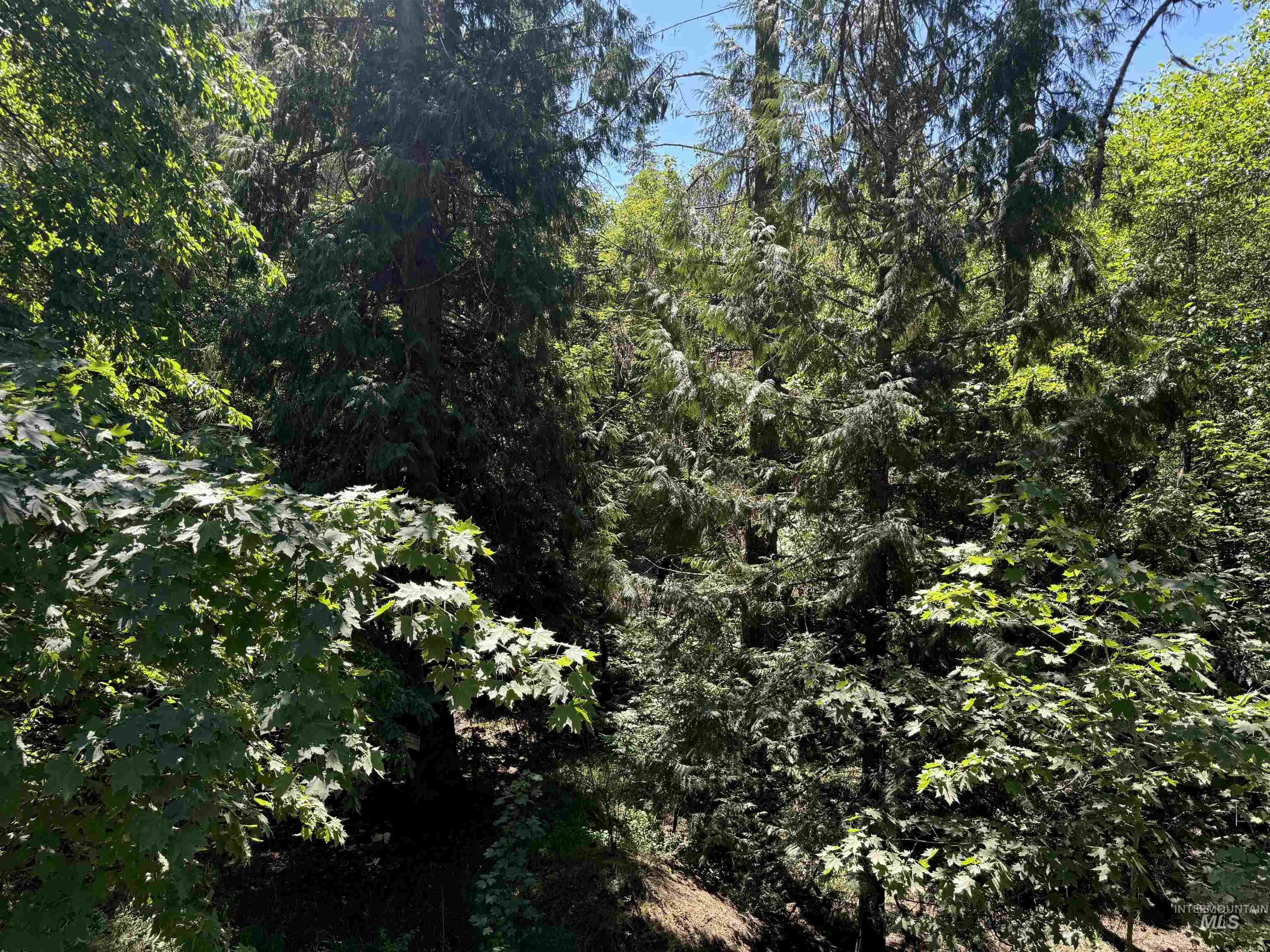 187 Deer Creek Rd Property Photo 7