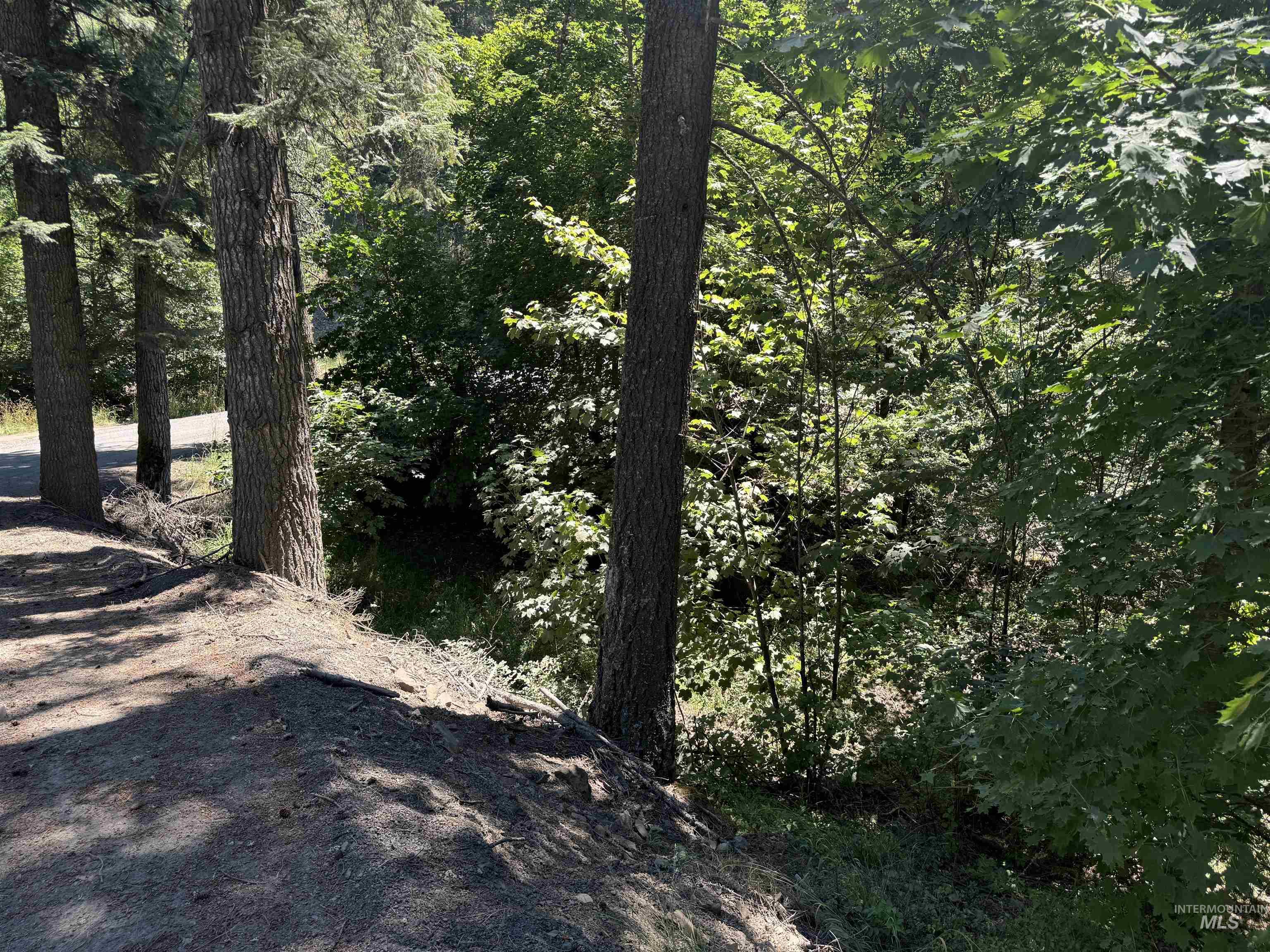 187 Deer Creek Rd Property Photo 9
